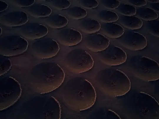 Una toma aérea muestra un vasto campo de tierra oscura y volcánica. Son visibles numerosas depresiones circulares, cada una