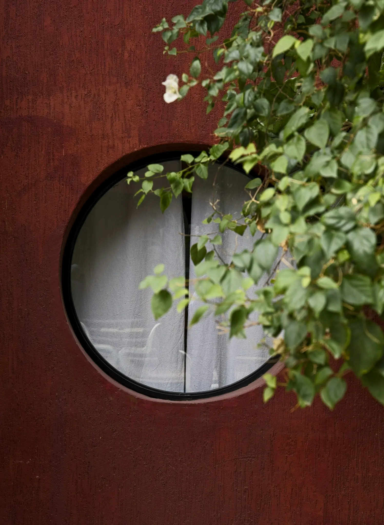 Una ventana circular con cortinas blancas está empotrada en una pared texturizada de color rojizo, con hojas verdes y una