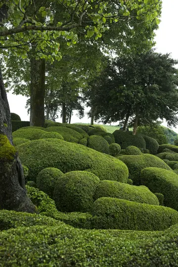 A formal garden features numerous rounded and elongated topiary bushes in varying shades of green, filling the foreground…