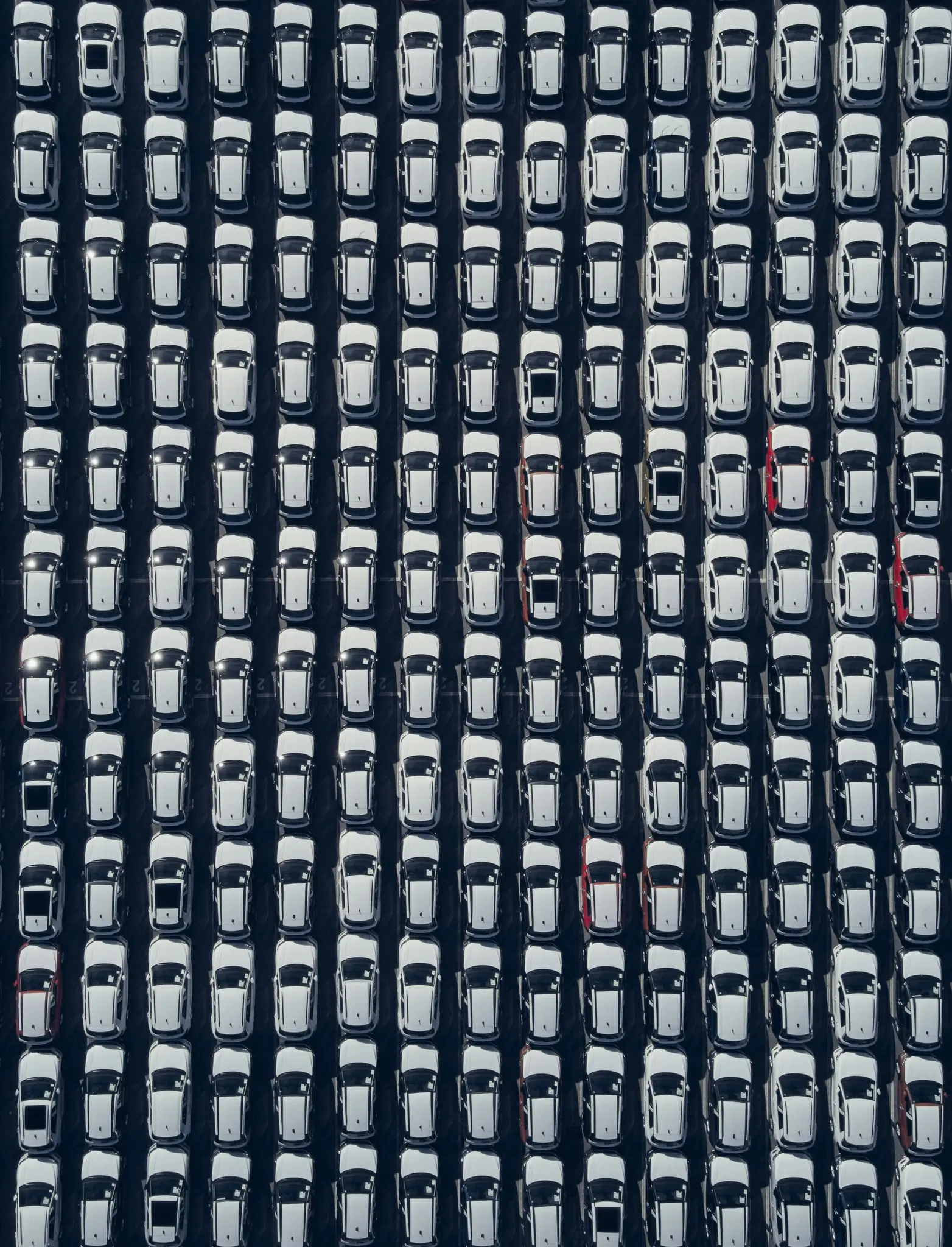 Ilmakuva laajasta parkkipaikasta, joka on täynnä satoja uusia valkoisia autoja, siististi järjestettyinä pitkiin