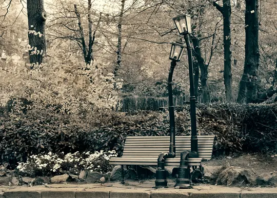 Et sepia-tonet fotografi af en parkscene med en trælamelbænk, to udsmykkede gadelygter og tæt løv.