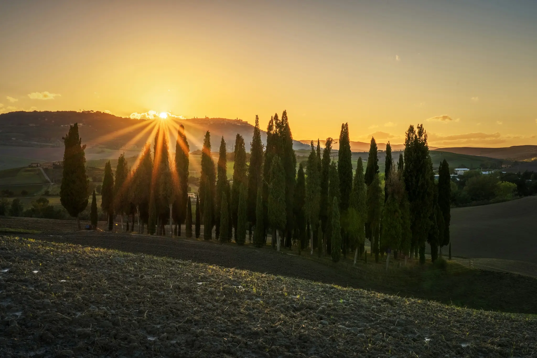En levende solnedgang over et bakket landskab med en fremtrædende række høje, mørkegrønne cypresser.