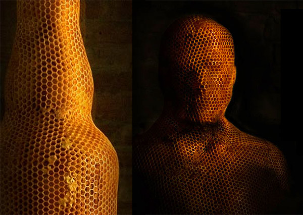 3D-моделирование при помощи пчел