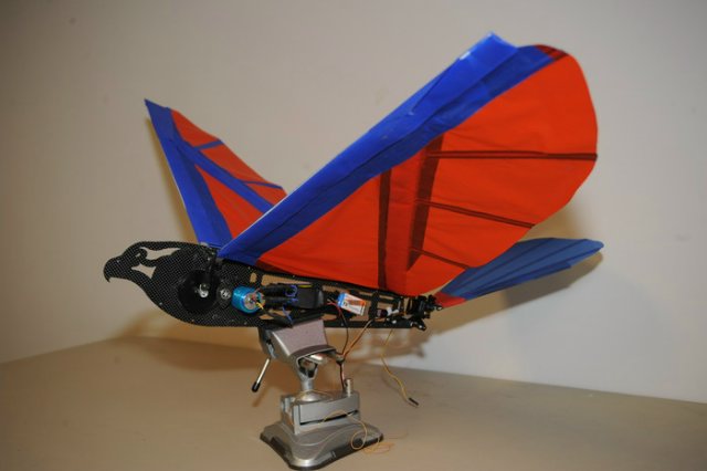 Da Vinci Classic Ornithopter: летательный аппарат Леонардо Да Винчи в действии