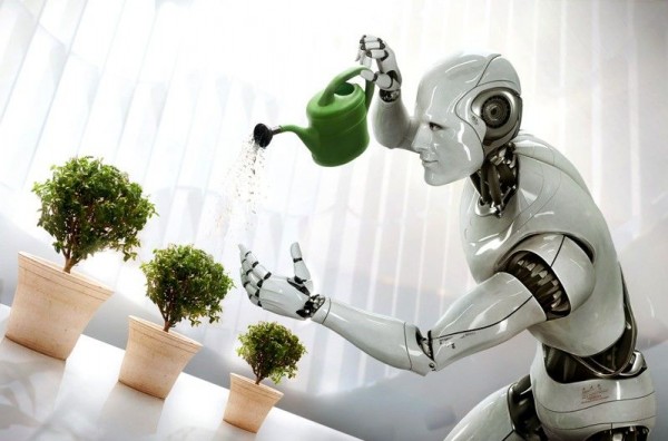 Недорогие роботы для домашнего использования вскоре должны появиться на рынке