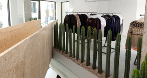 Брюссельский бутик моды из кактусов, гравия и бетона