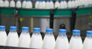 В Нидерландах придумали метод 3D печати молочных продуктов