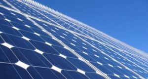 LONGi Solar расширяет производственную базу в индийском штате Андхра-Прадеш