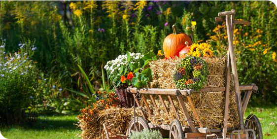 A harvest cart overflowing with pumpkins, hay, and autumn veggies