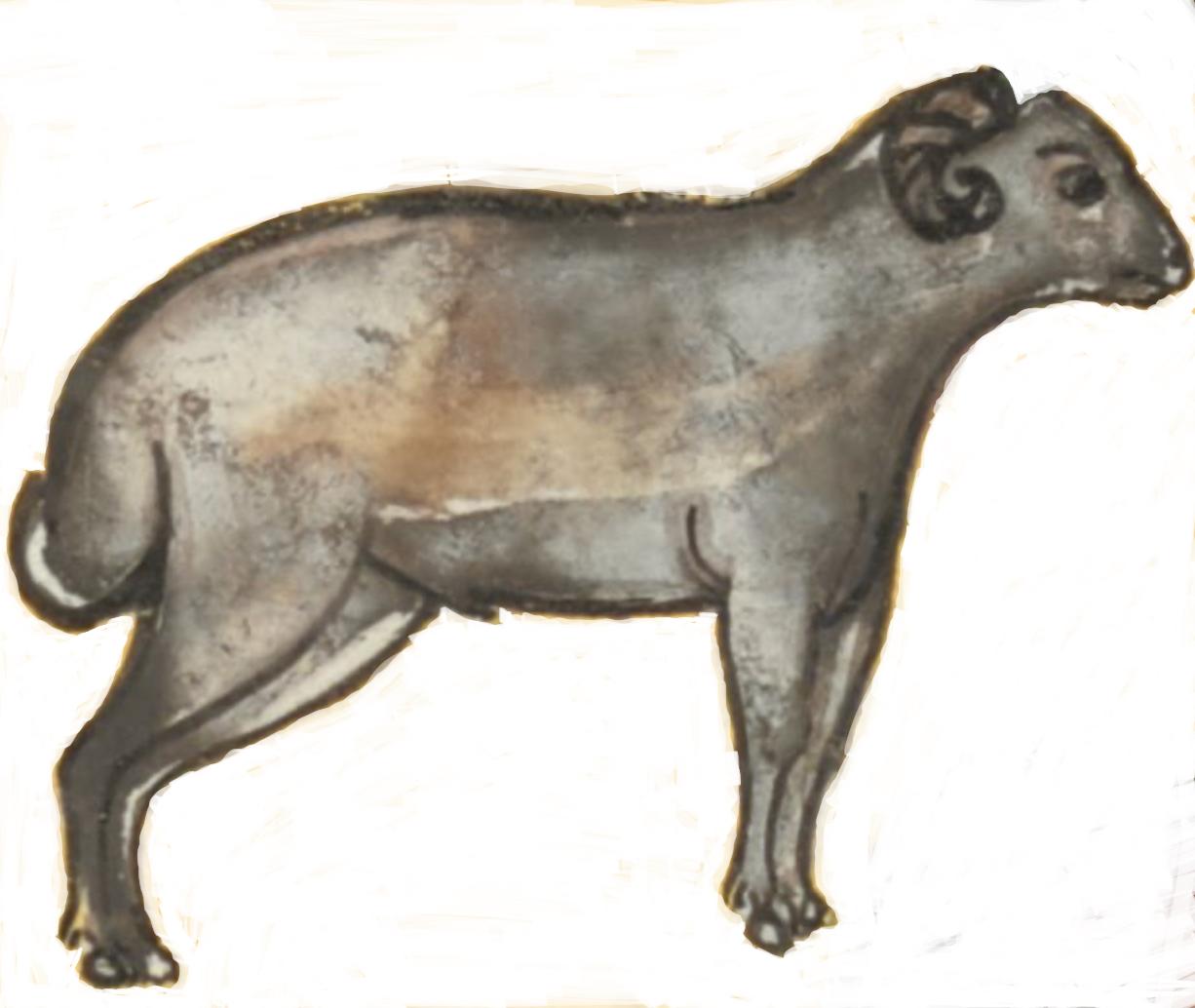 The Provided Lamb (Isaac)