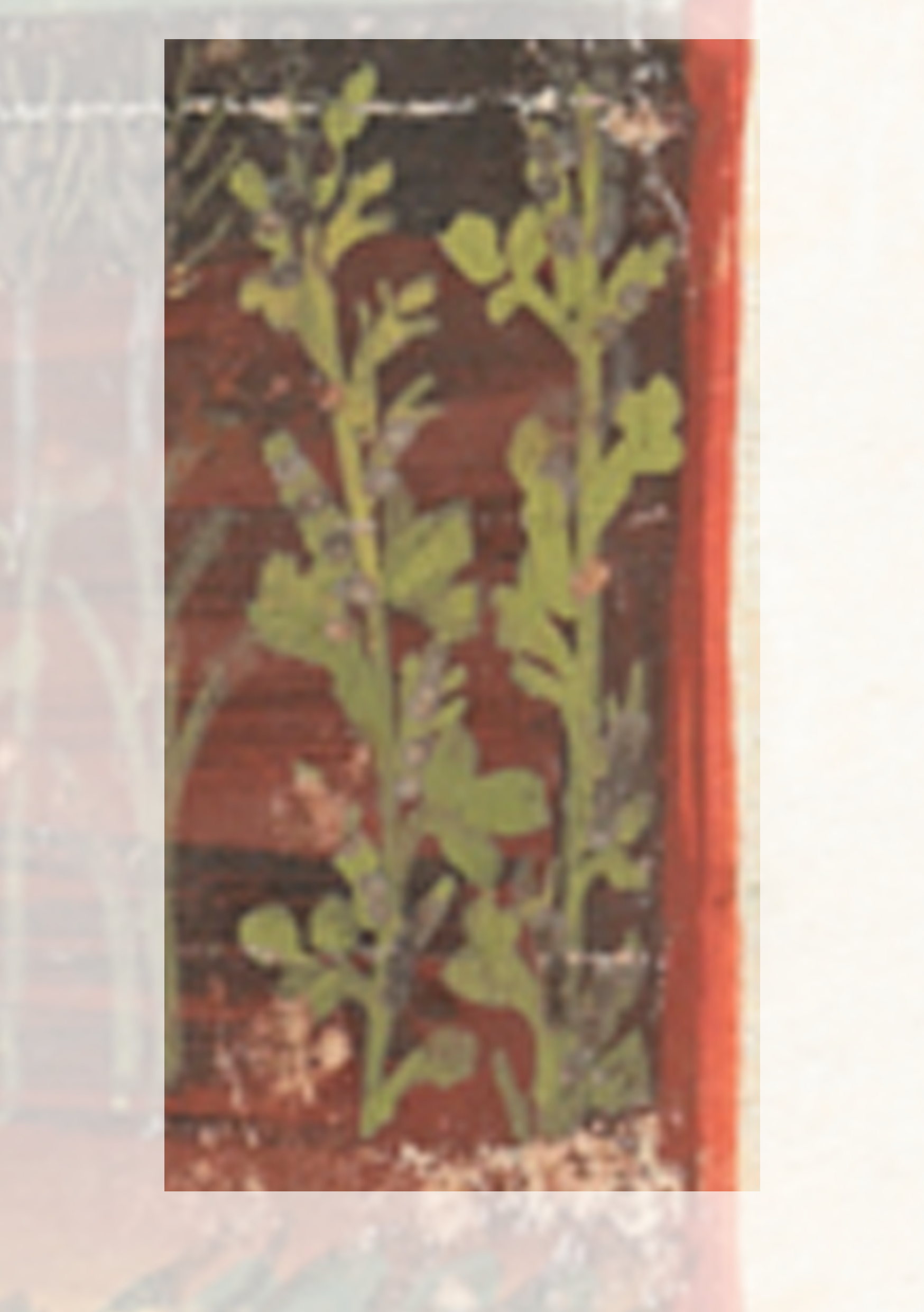 Plant In A Red Container
