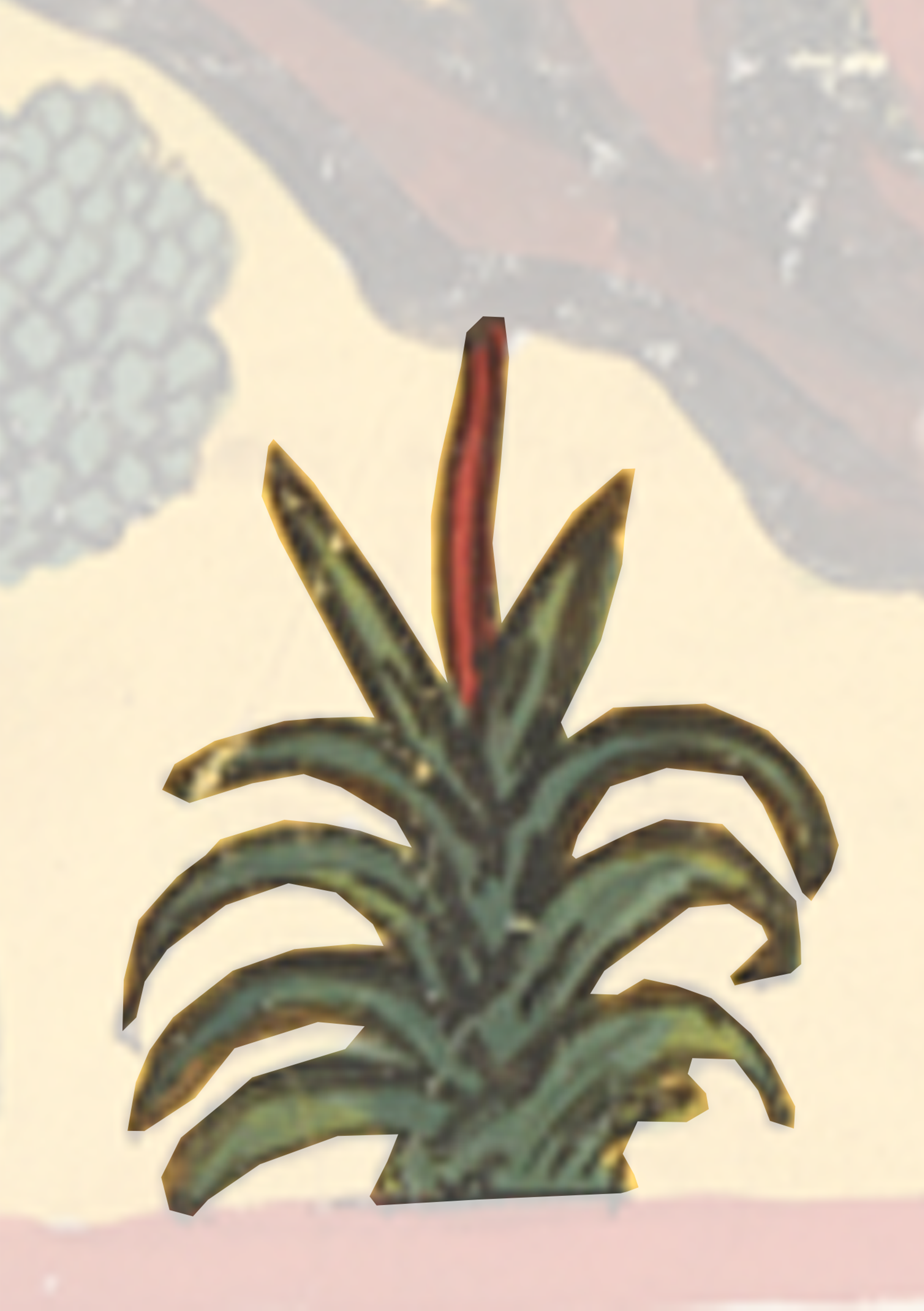 Plant With A Red Stem