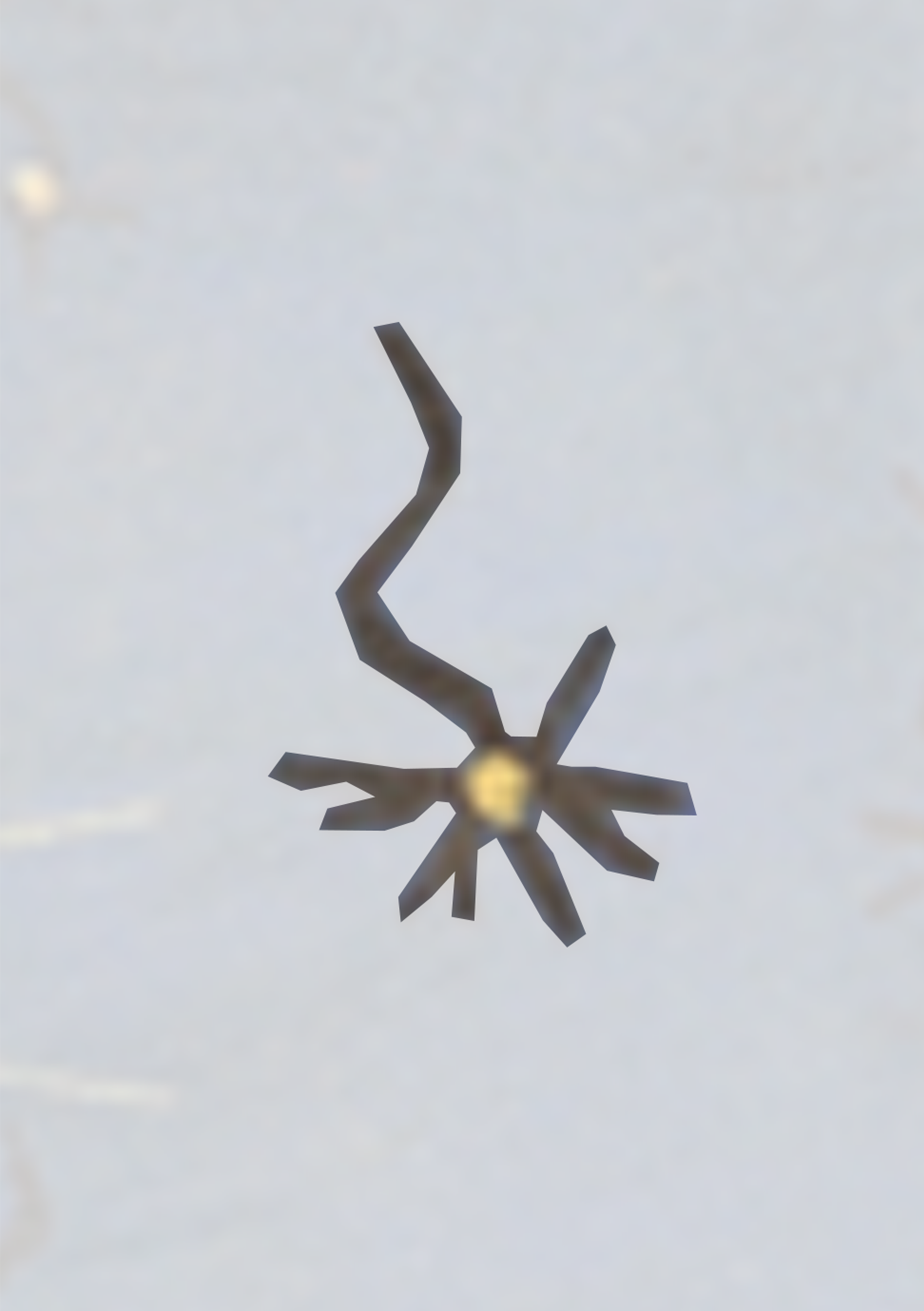 Small Black Bird Flying Through The Sky