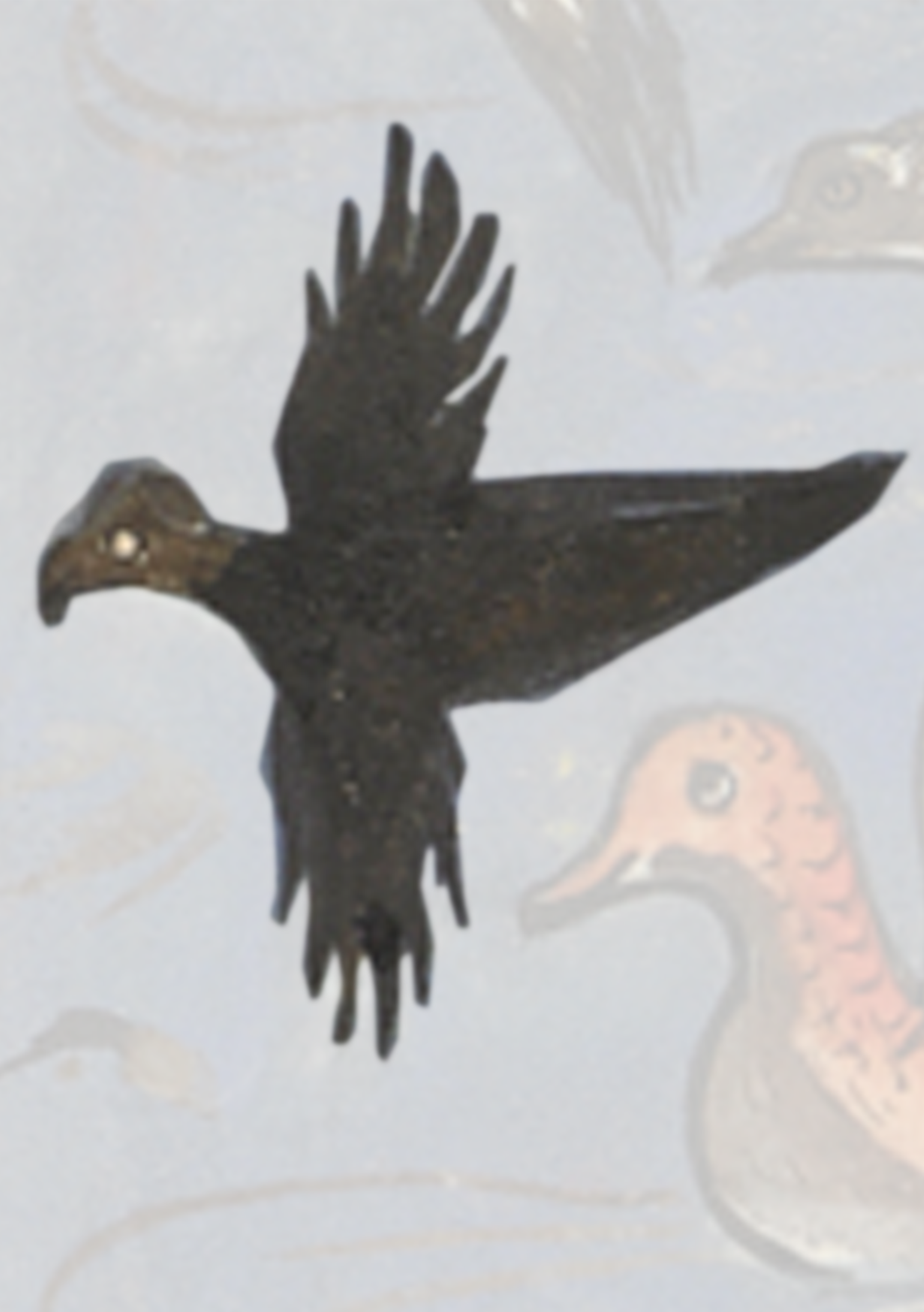Bird Flying In The Sky