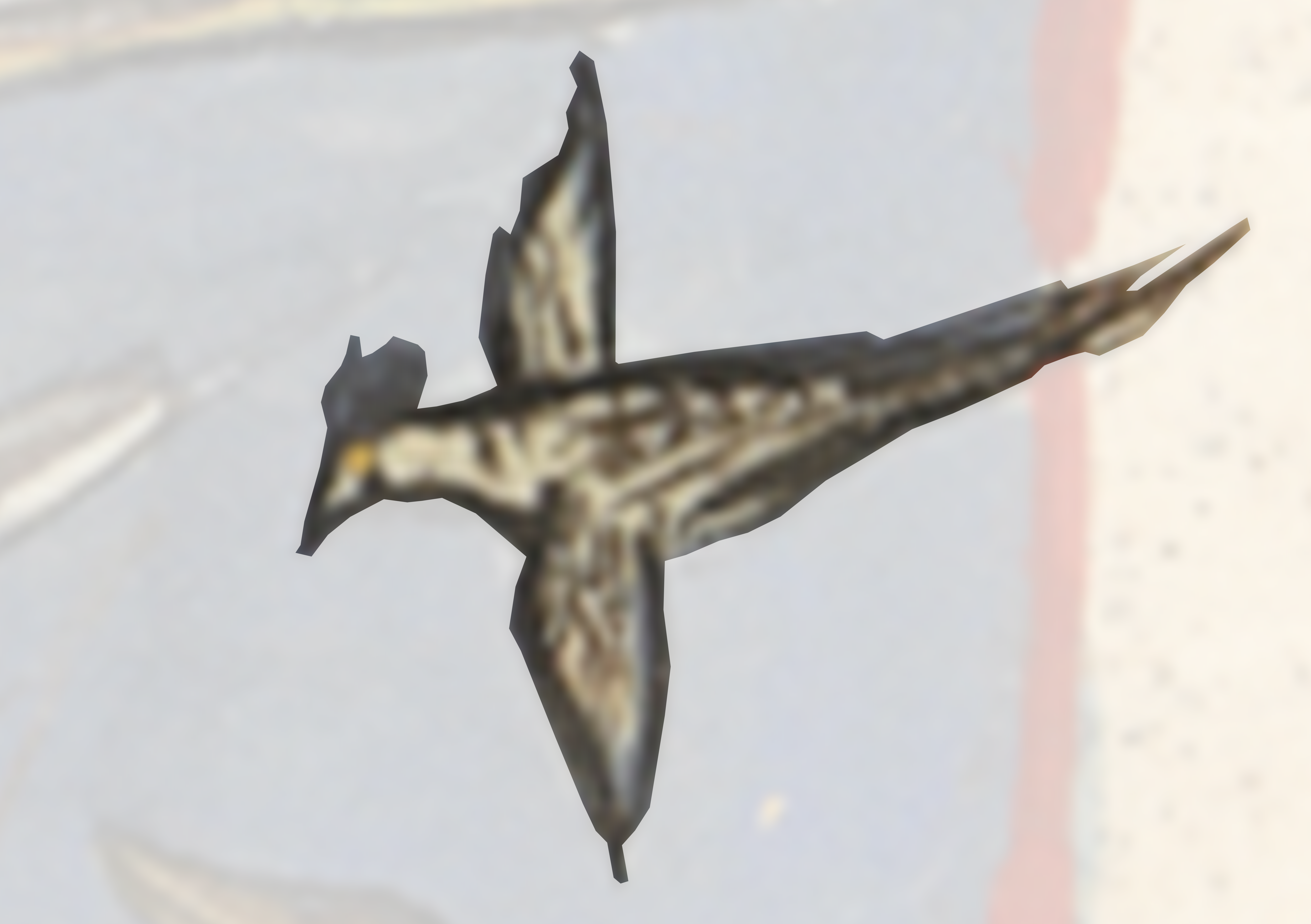 Bird Flying In The Sky With A Red And White Background