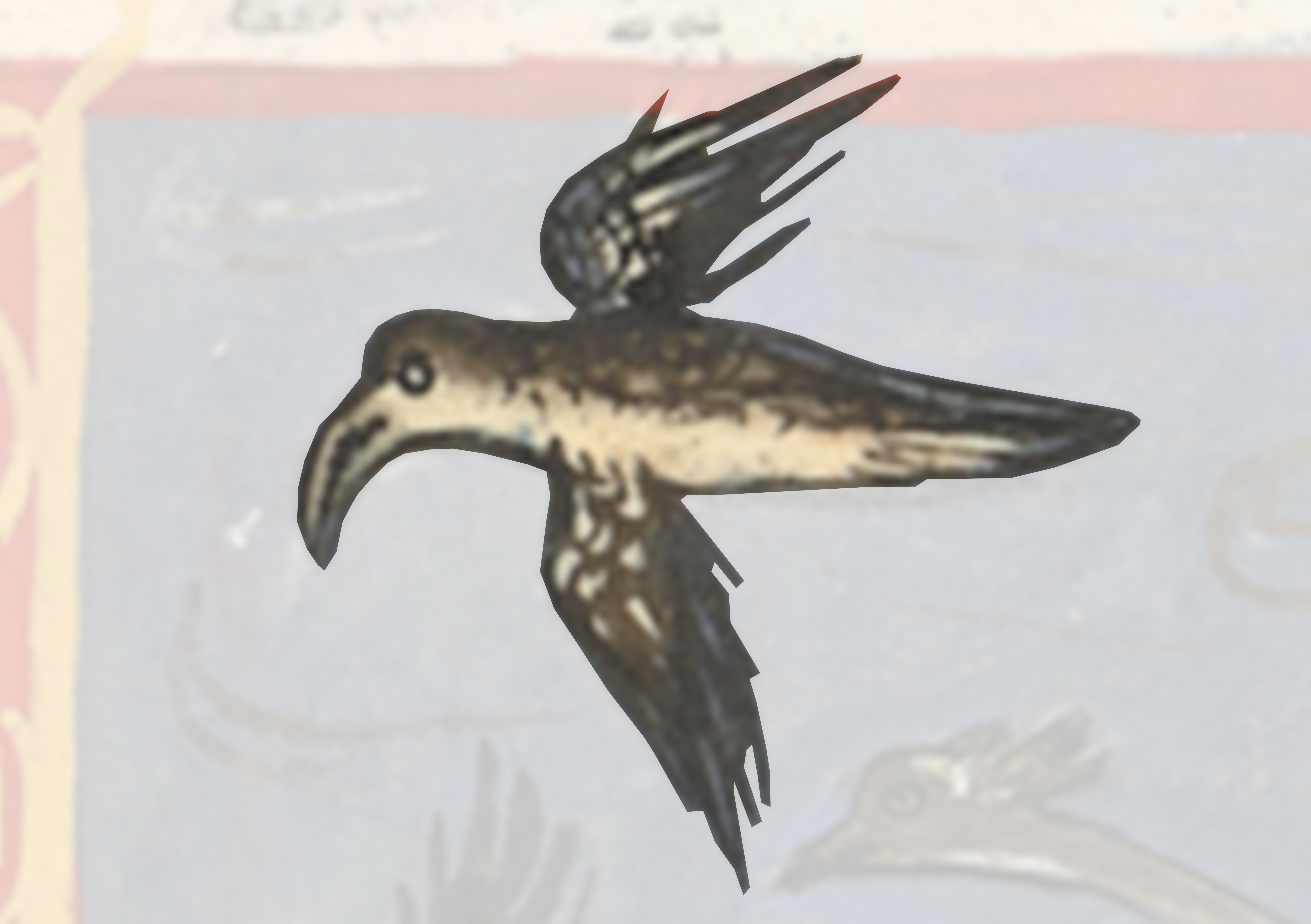 Bird Flying In The Sky