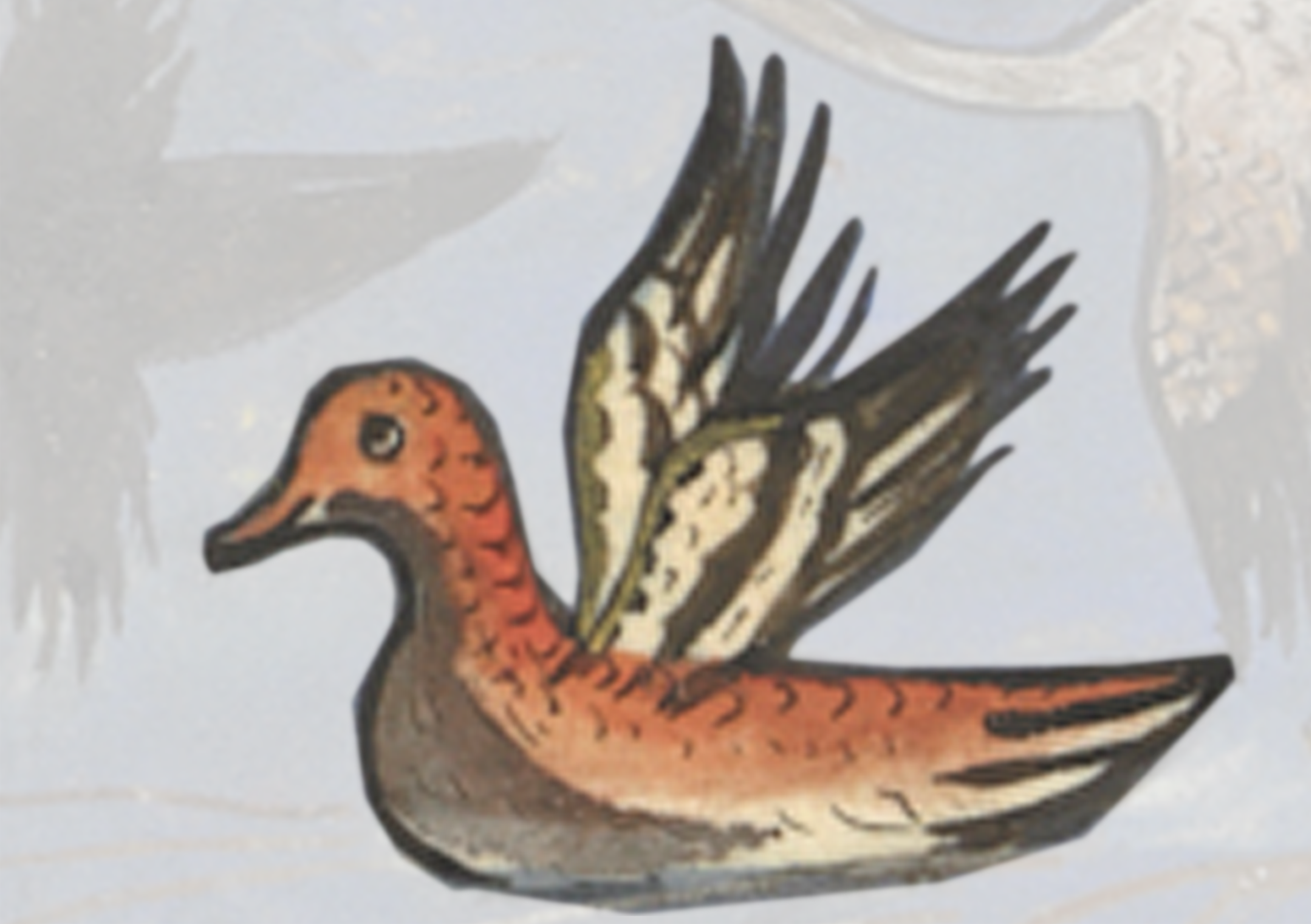Bird With Its Wings Spread Out
