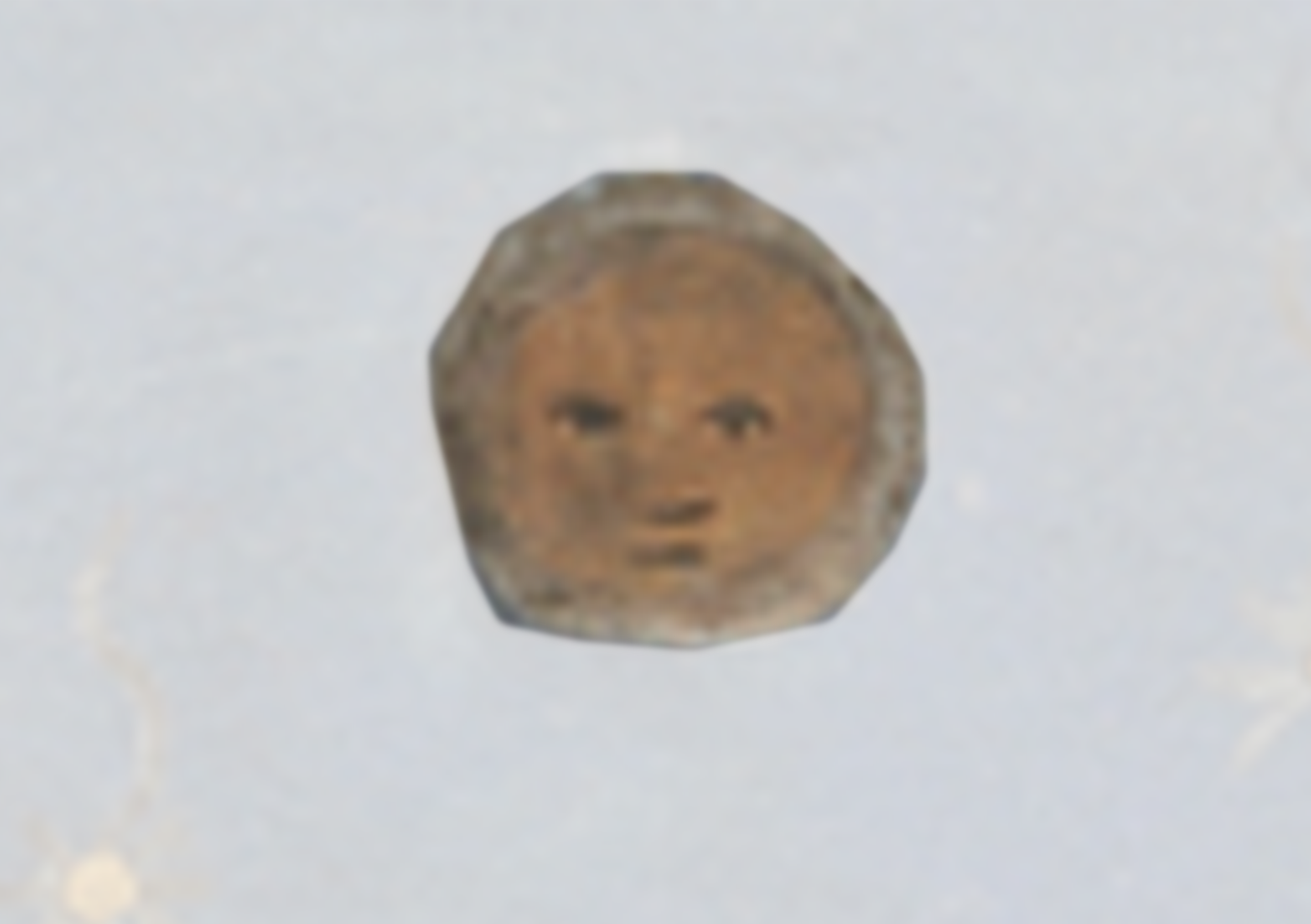 Small Brown Object With A Face On It