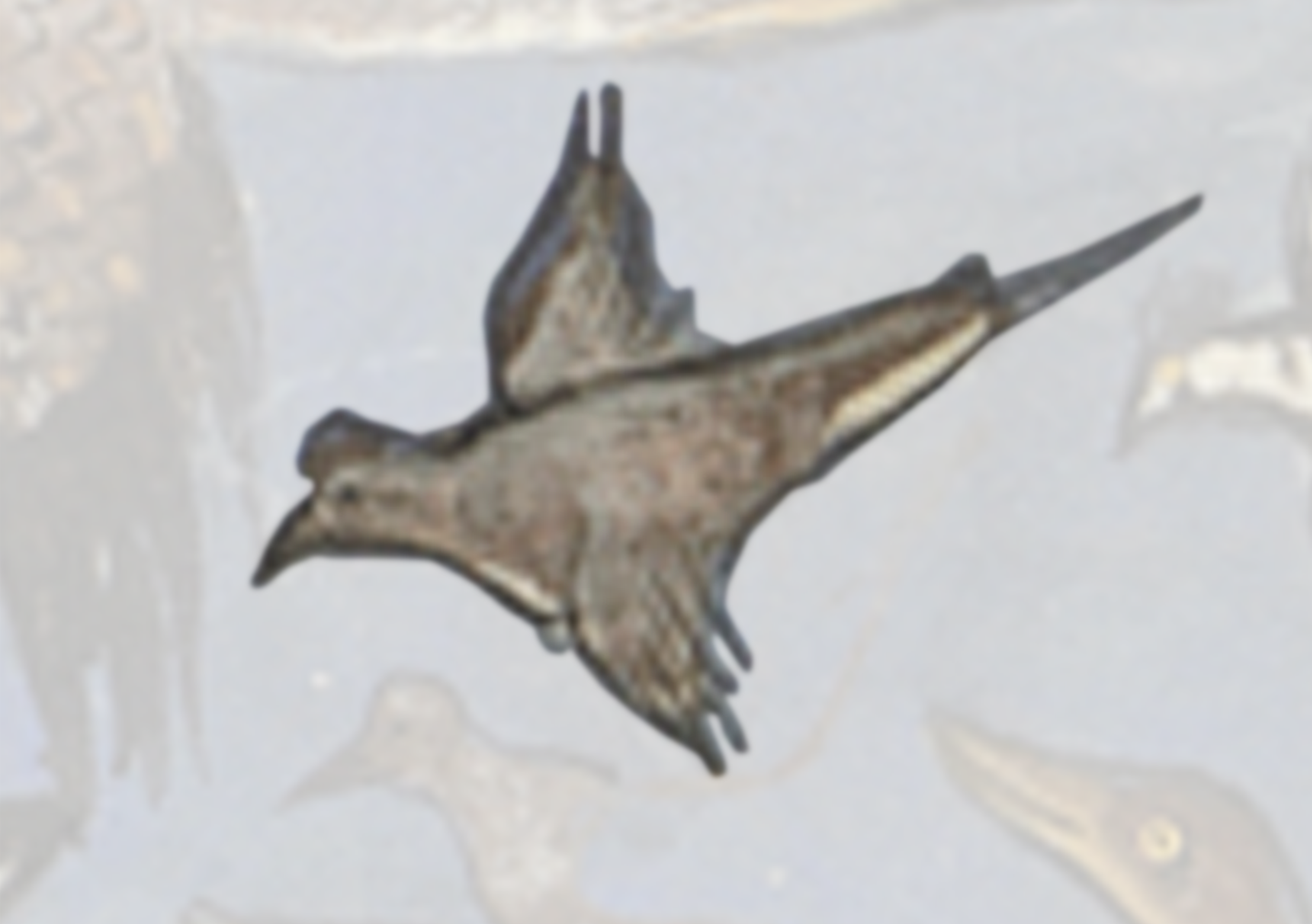 Bird Flying Through The Air With Its Wings Spread