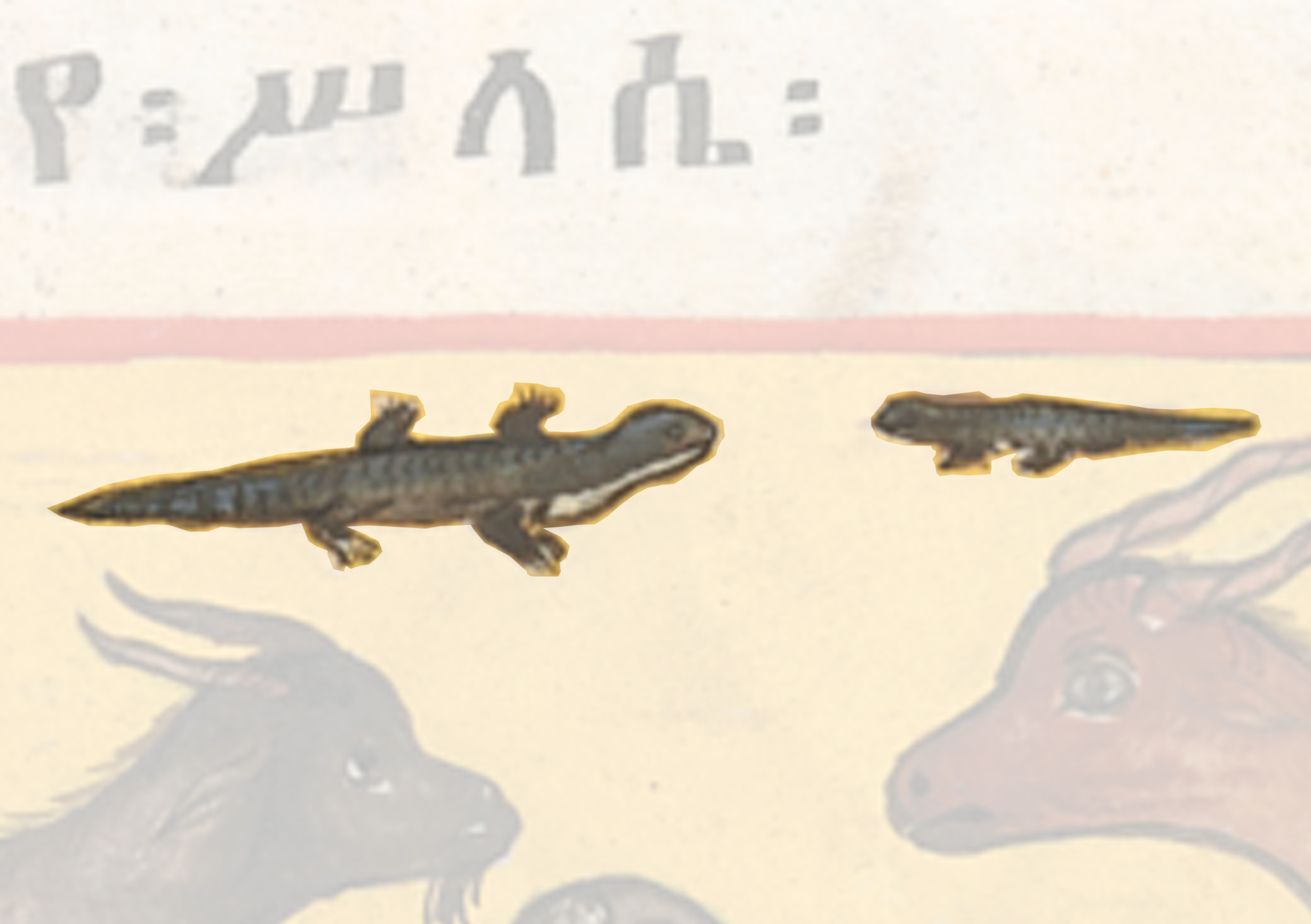 Painting Of A Goat And A Fish