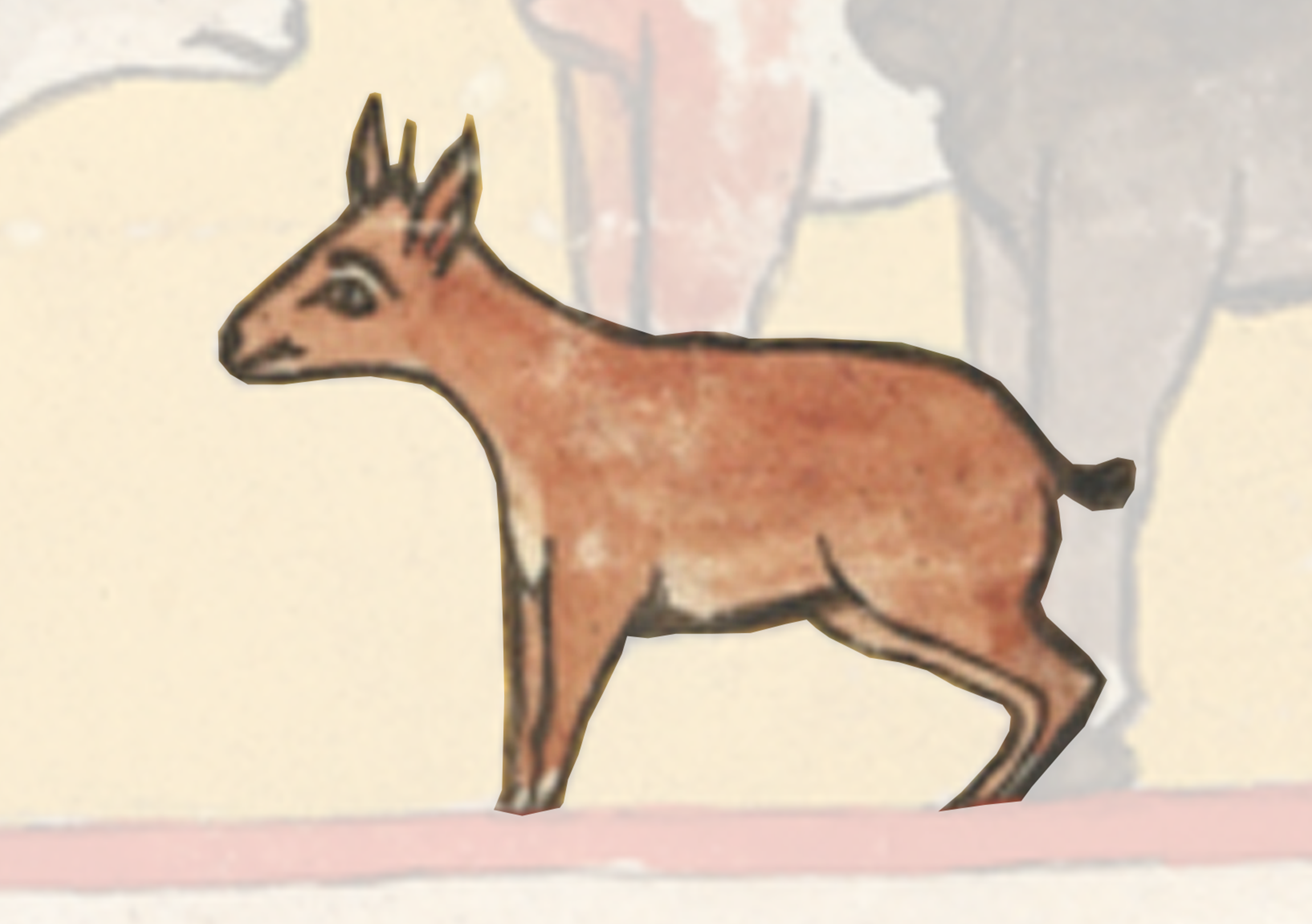 Small Deer Standing In Front Of A Wall