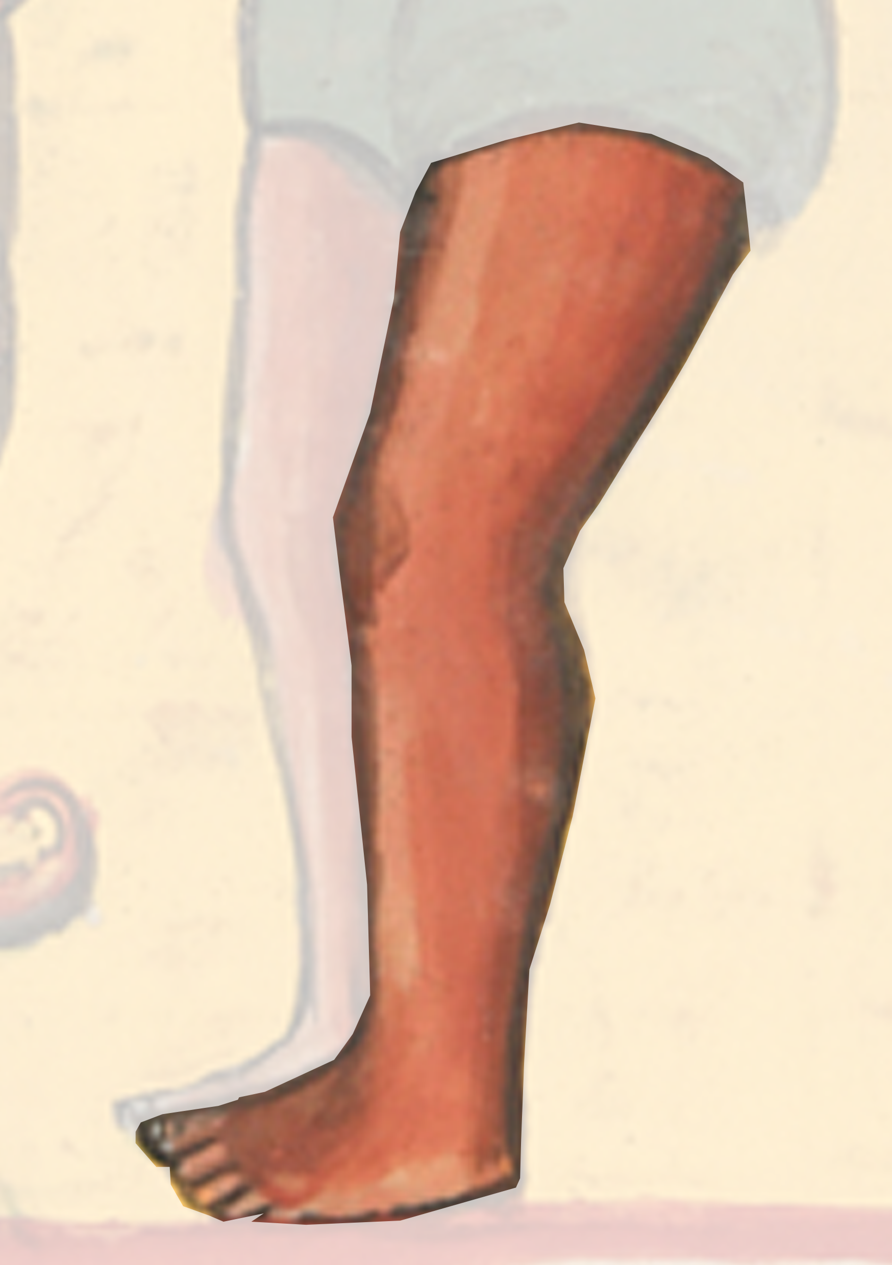 Person With A Pair Of Shoes On Their Feet