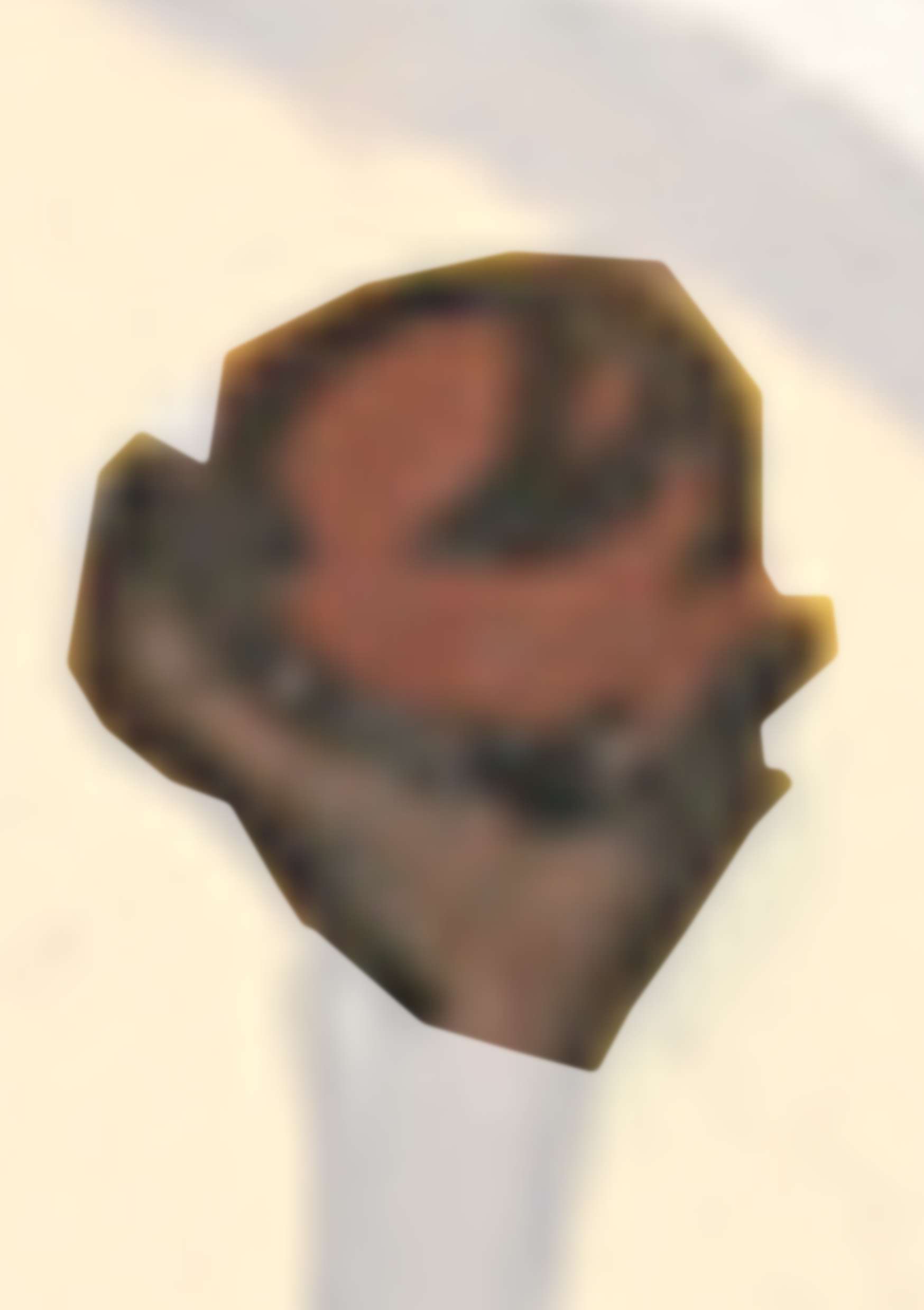 Brown Object With A White Background