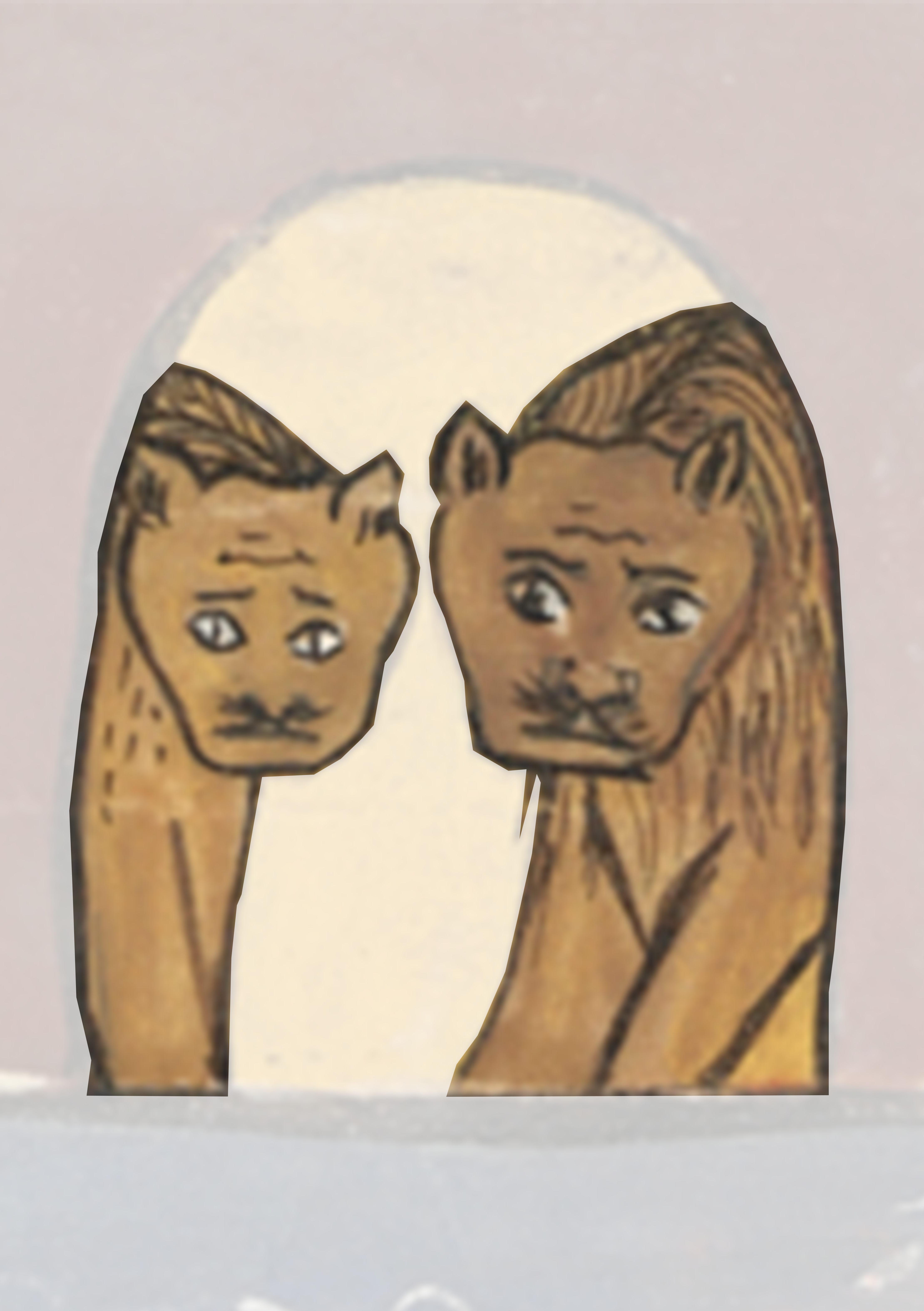 Two Cats Looking At Each Other Cats