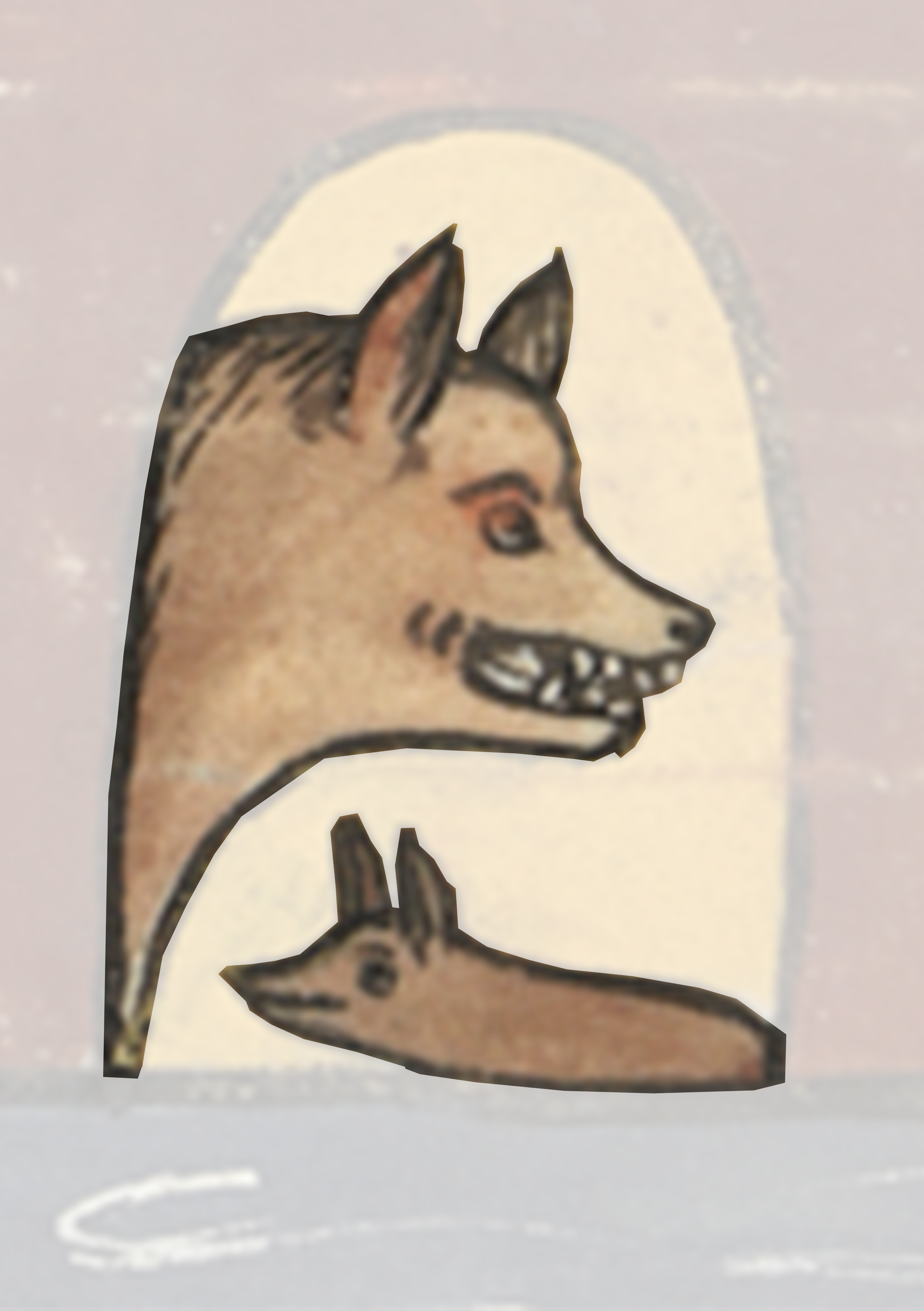 Dog And A Cat Are Looking At Each Other Dog
