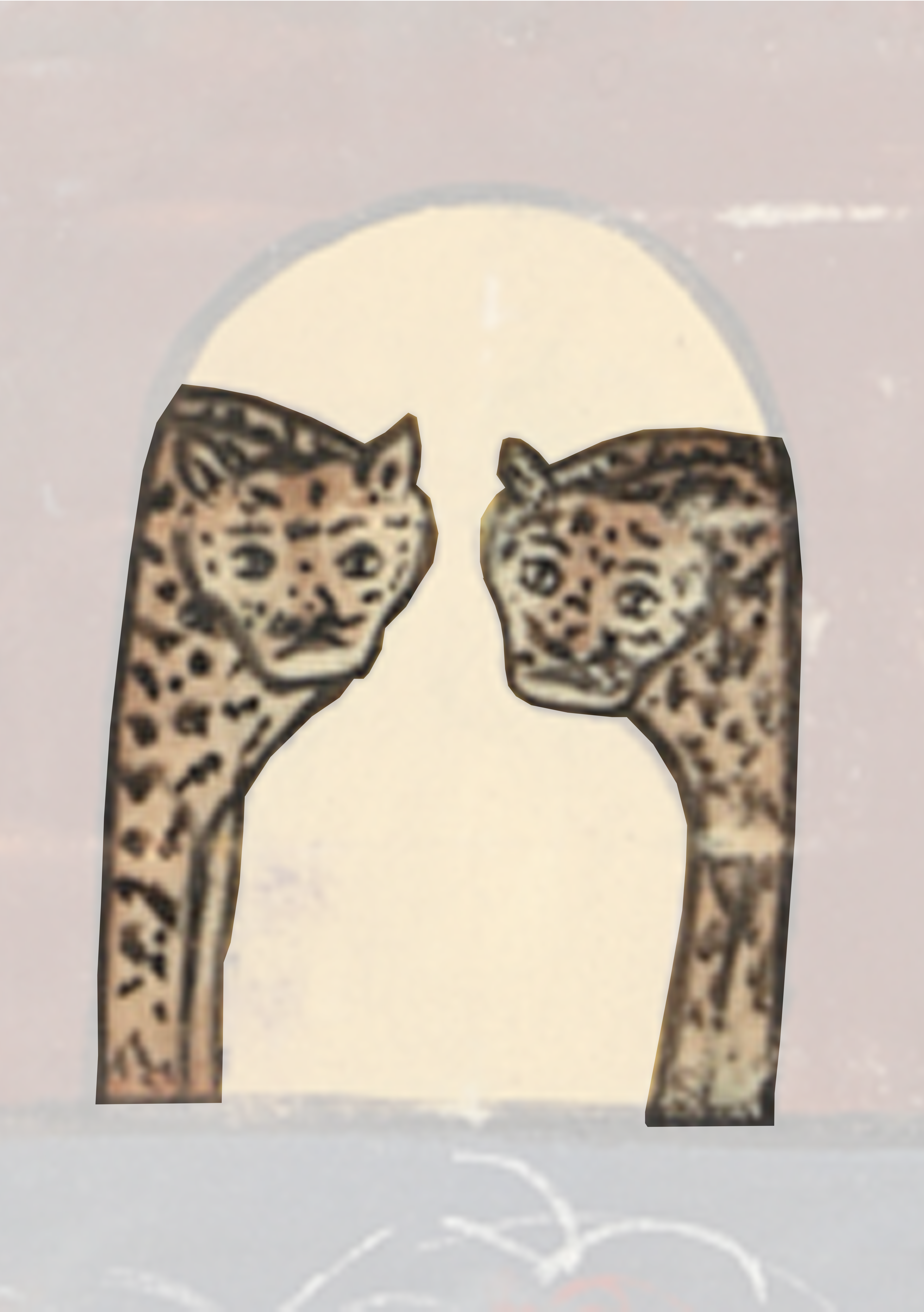 Two Cats Are Facing Each Other Cats