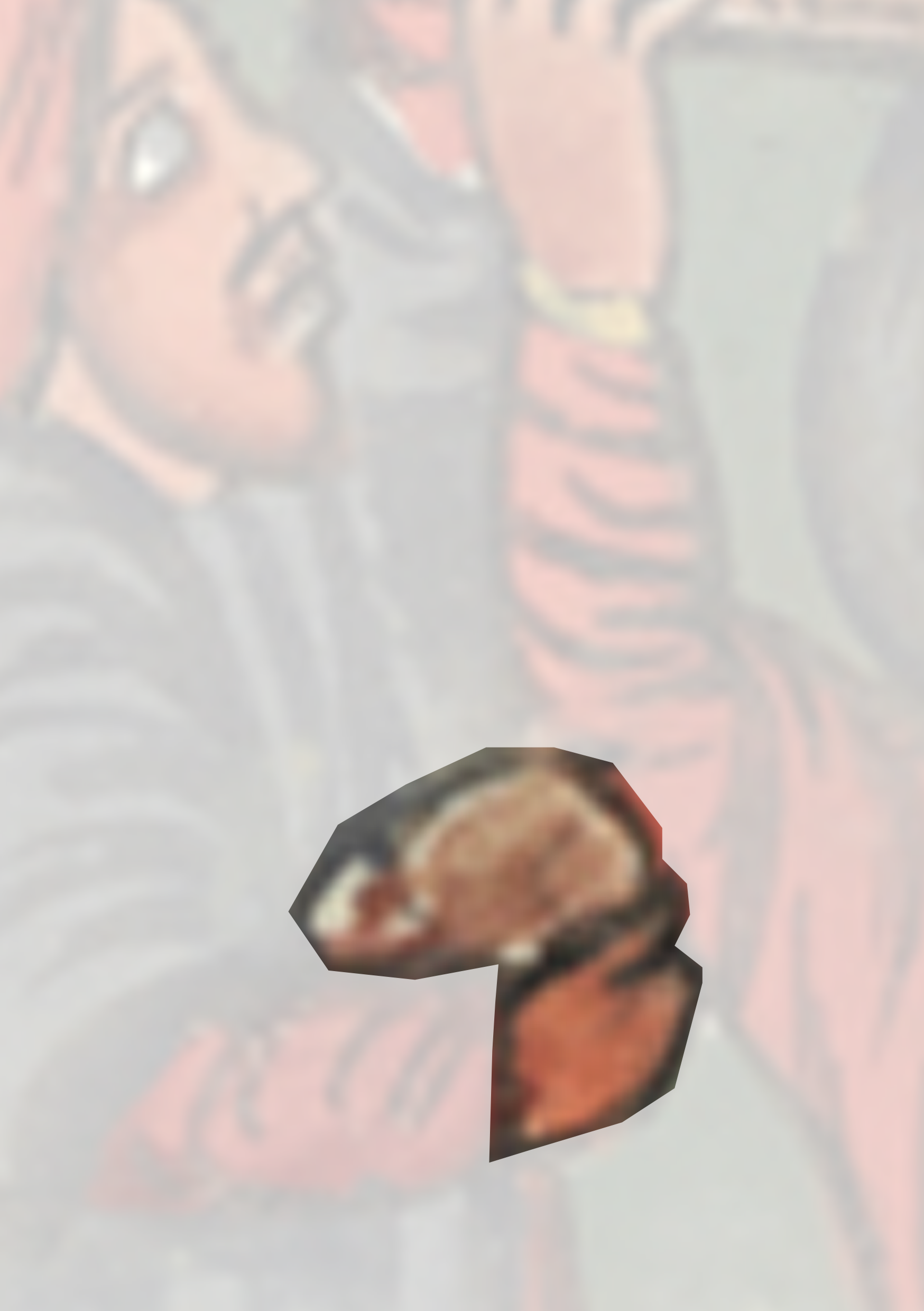 Picture Of A Man With A Hat And A Hat
