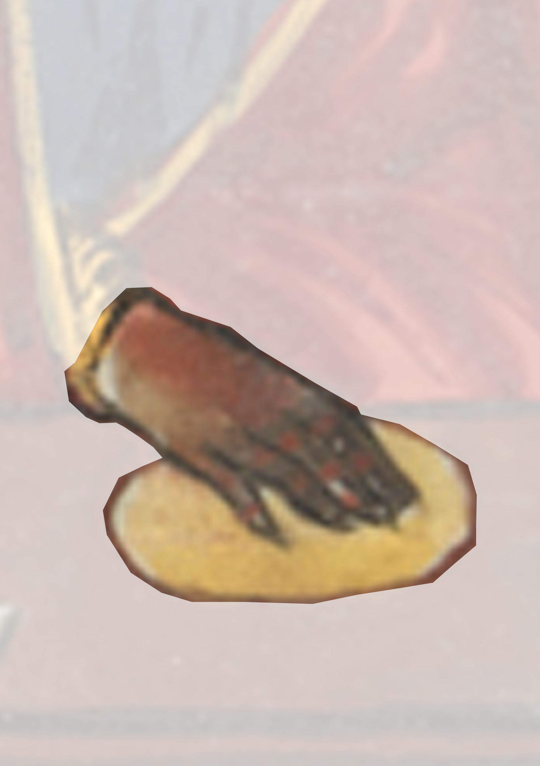 Bird Is Sitting On A Piece Of Bread