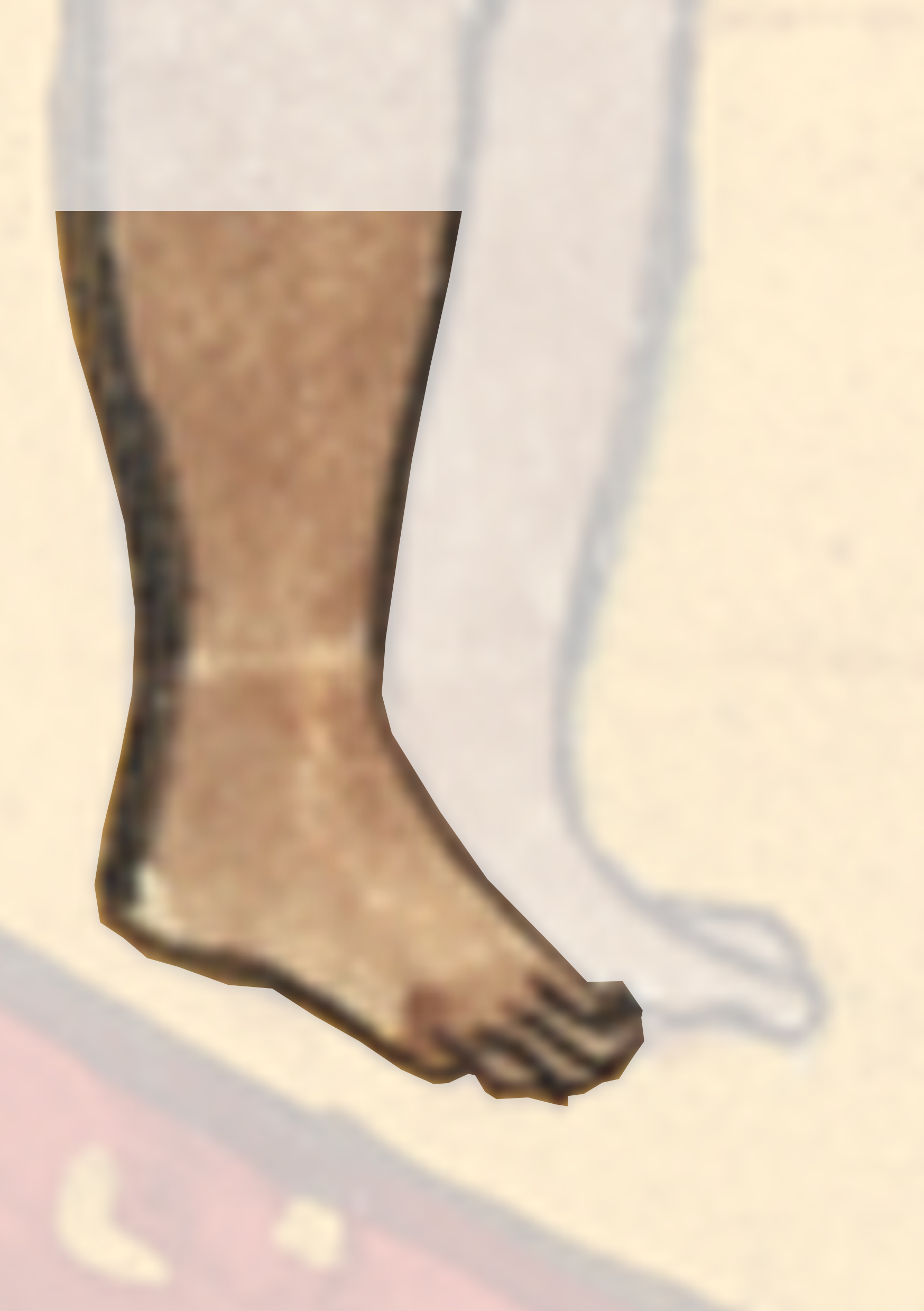 Pair Of Feet With A Red And White Background