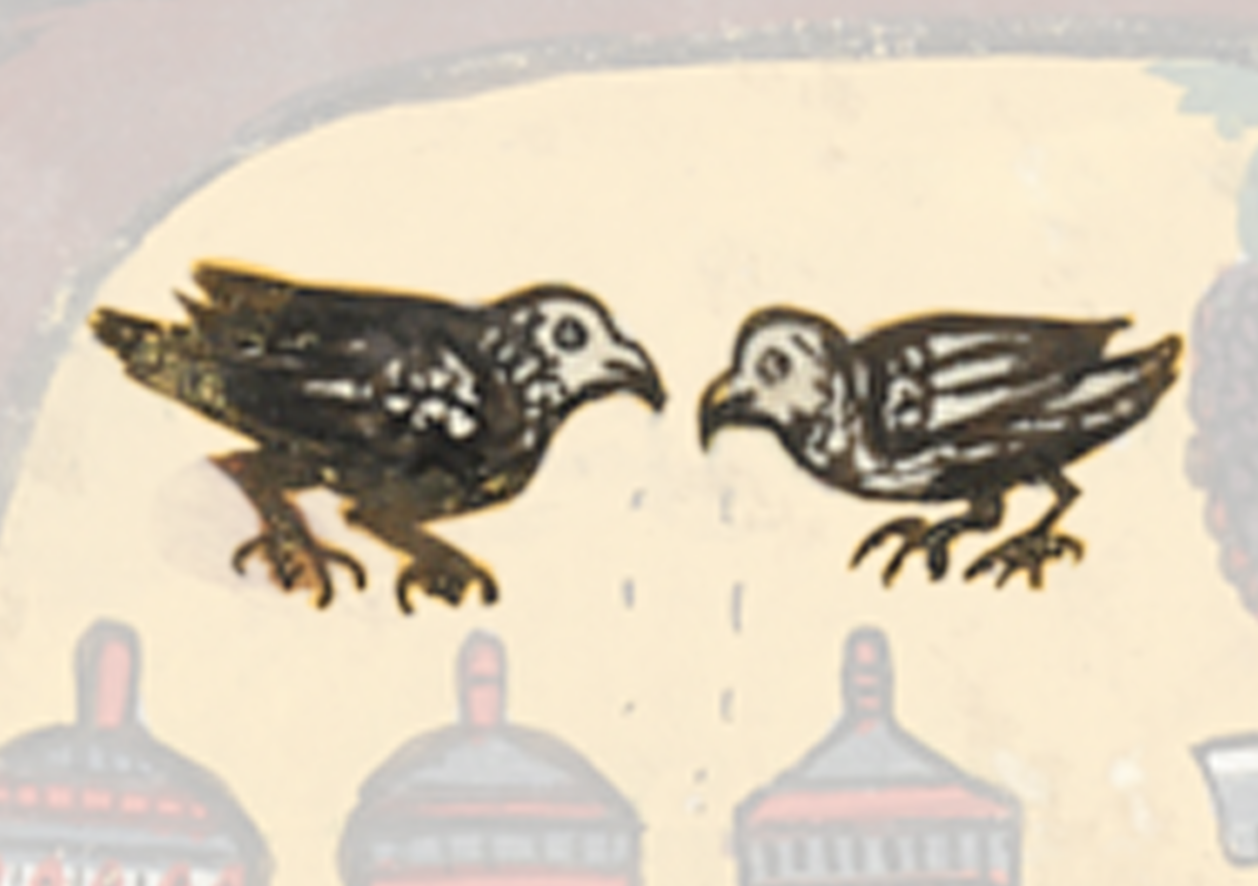 Two Birds Are Sitting On A Wall