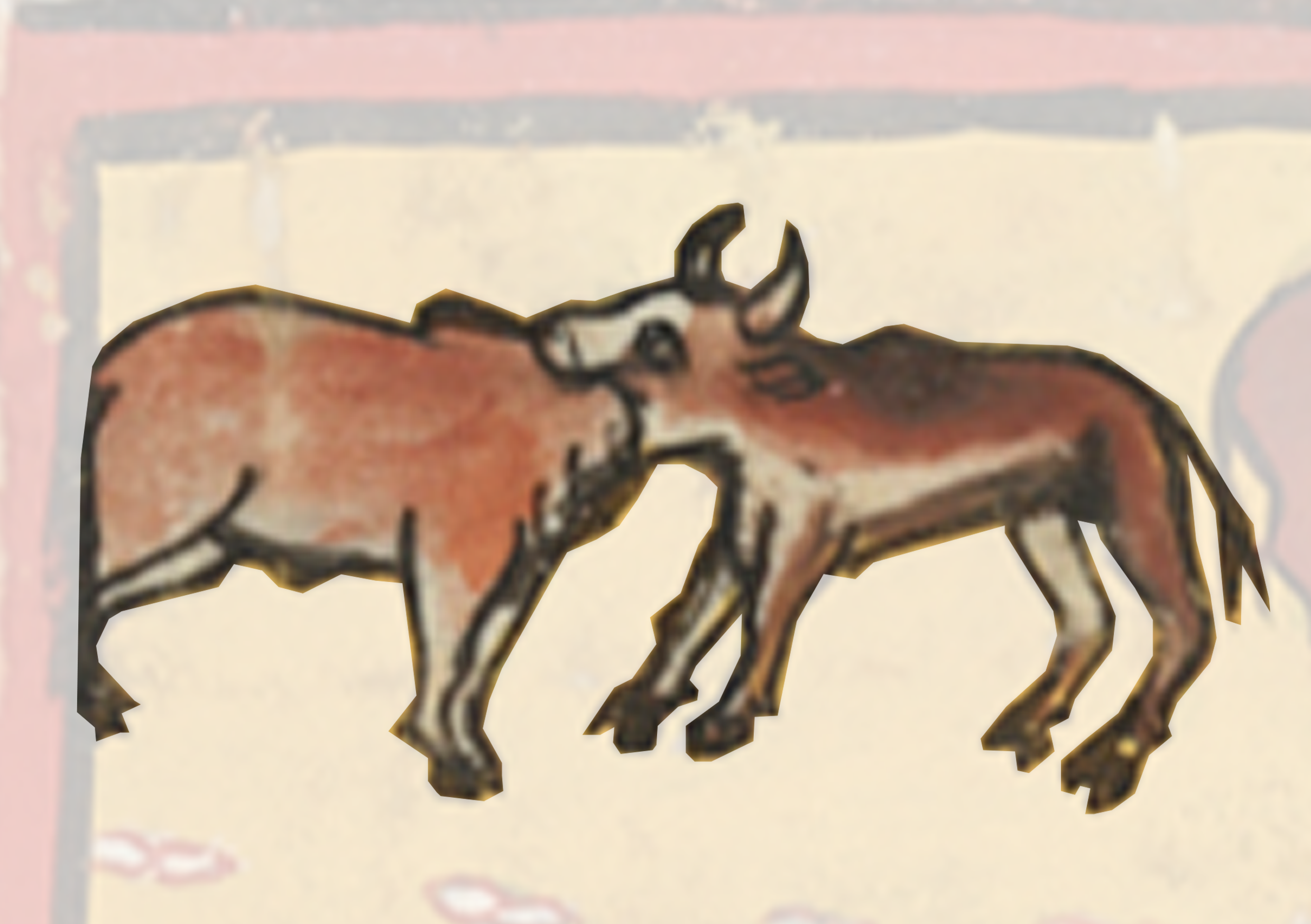 Two Donkeys Standing In A Field