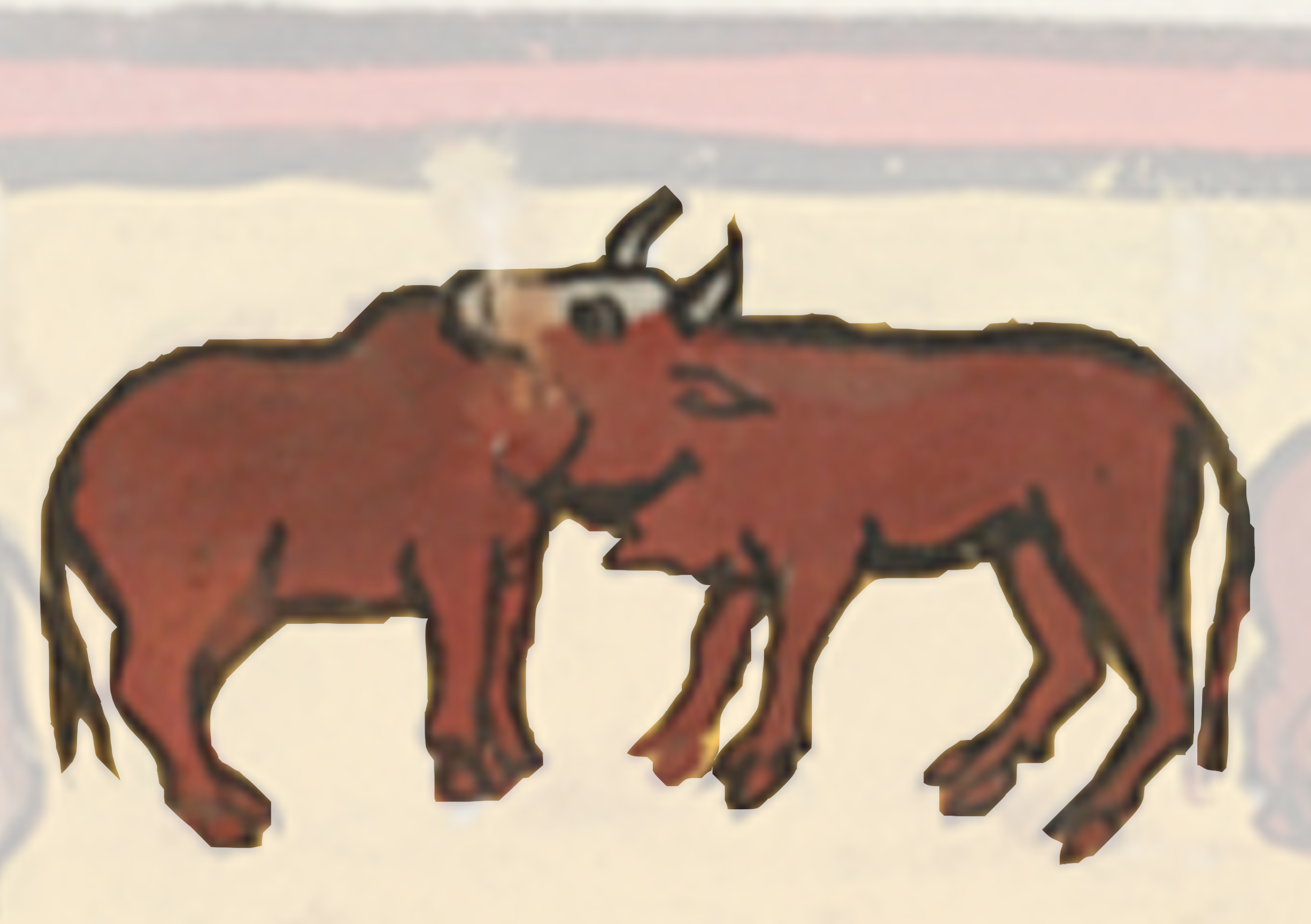 Couple Of Cows Standing Next To Each Other Cows