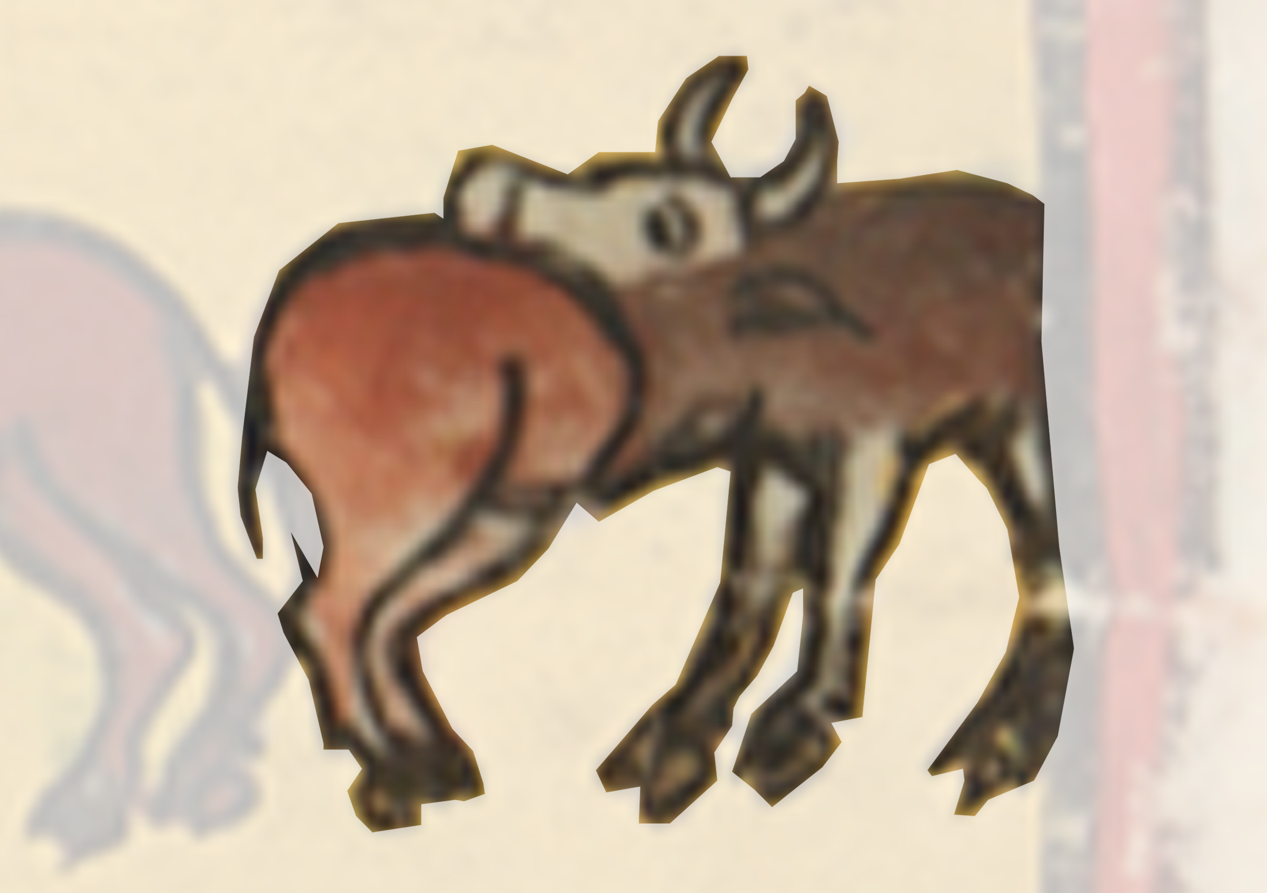 Drawing Of A Bull And A Bull
