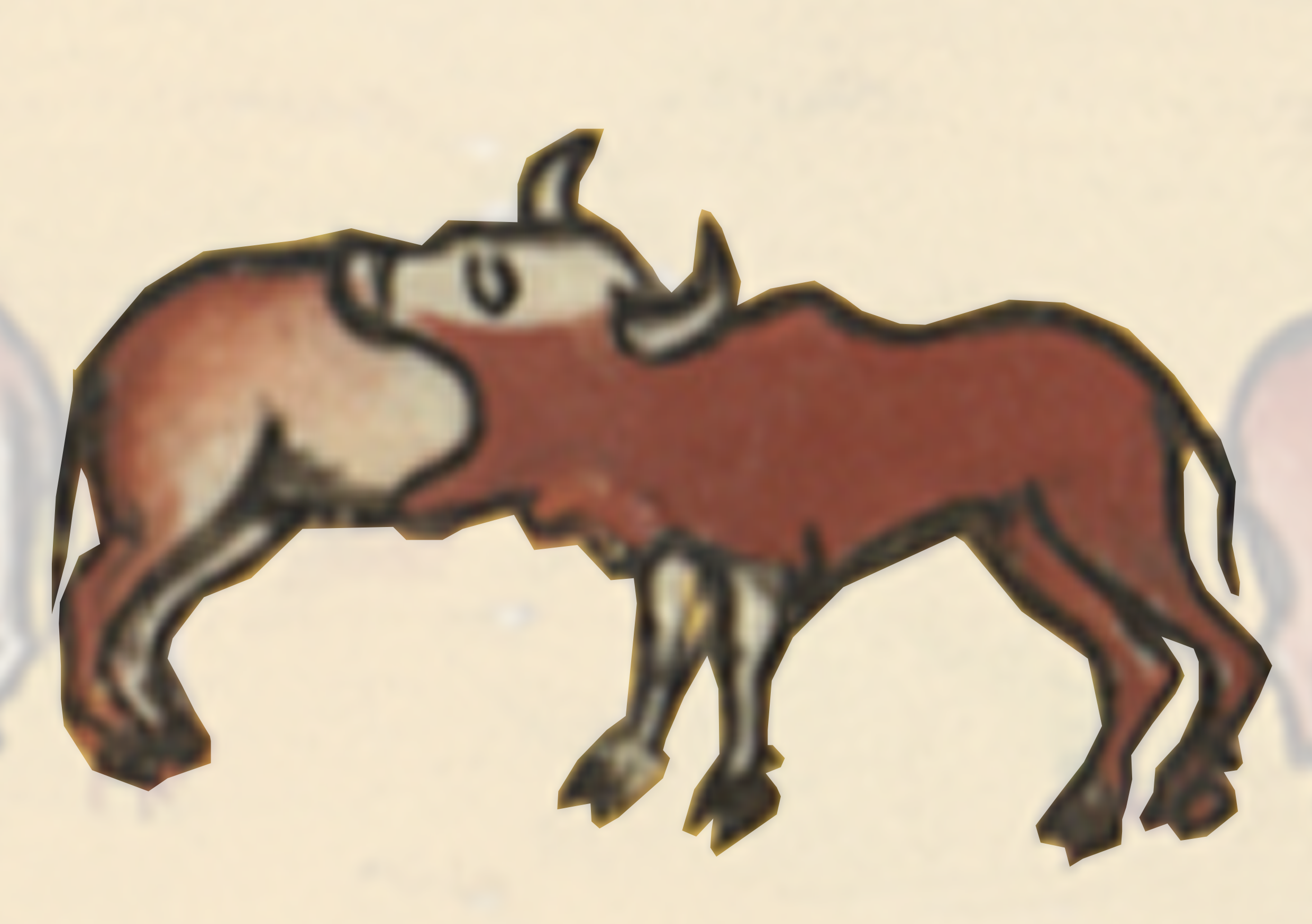 Drawing Of A Bull And A Horse