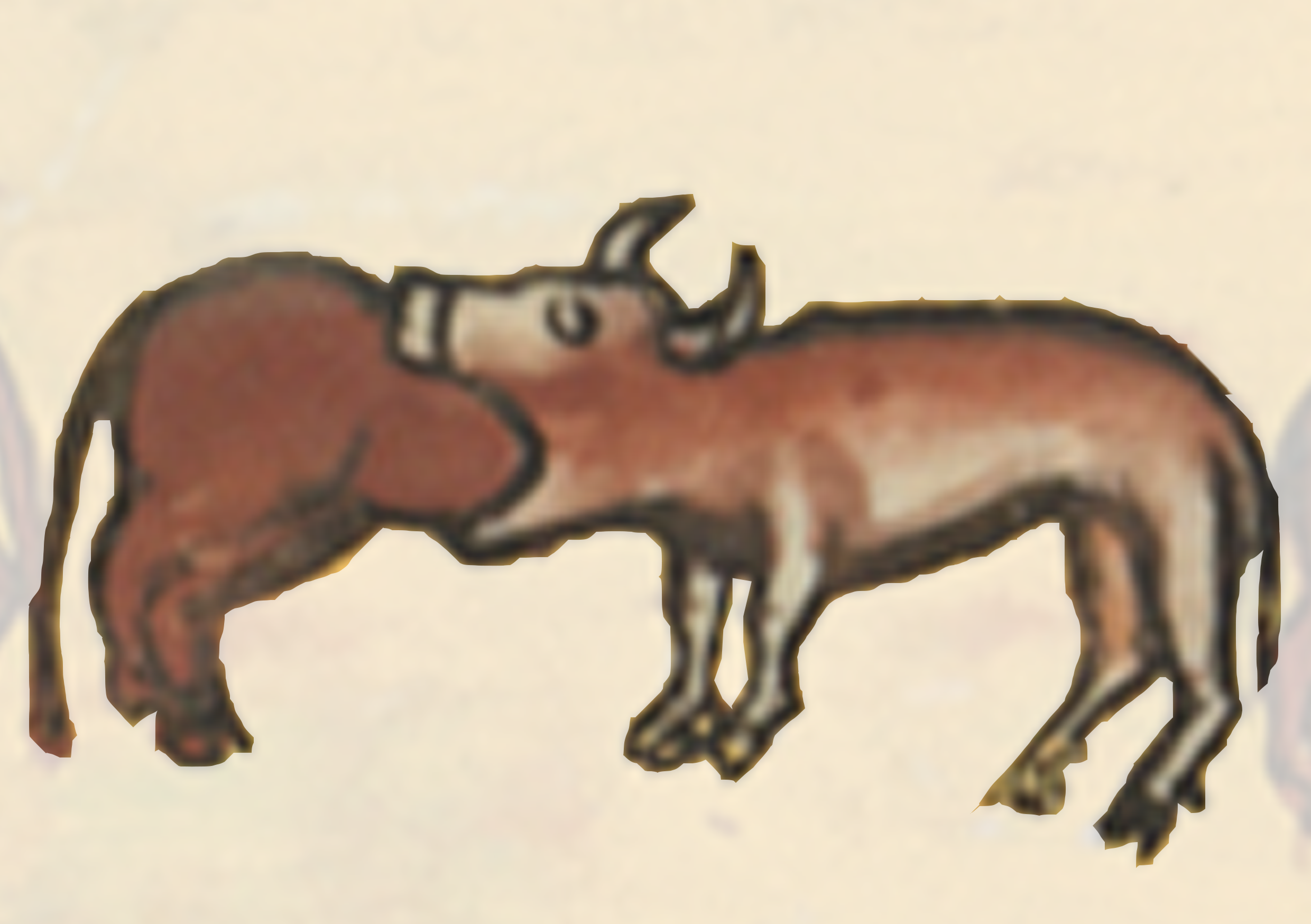 Drawing Of A Cow And A Horse