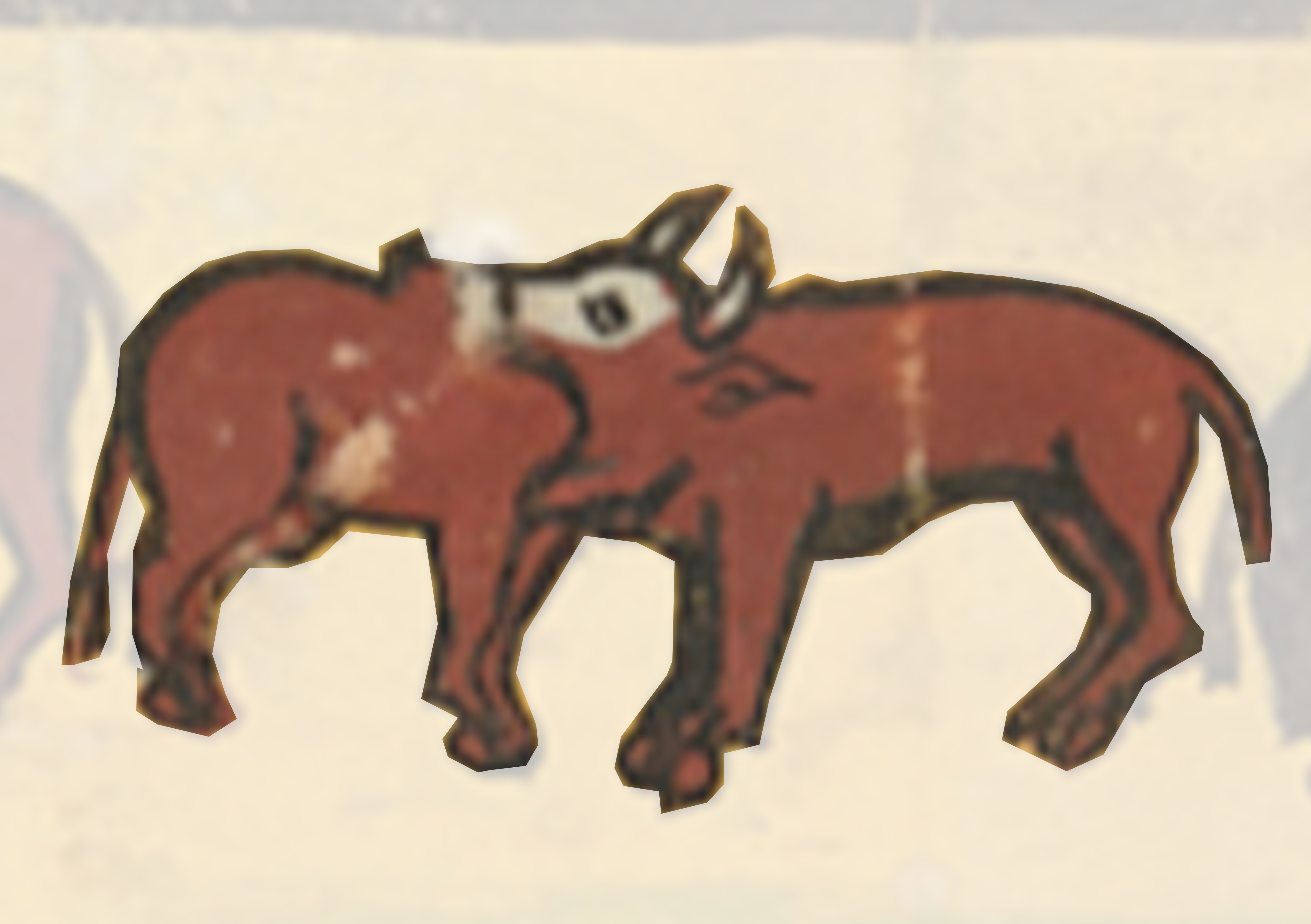 Picture Of A Bull And A Bull