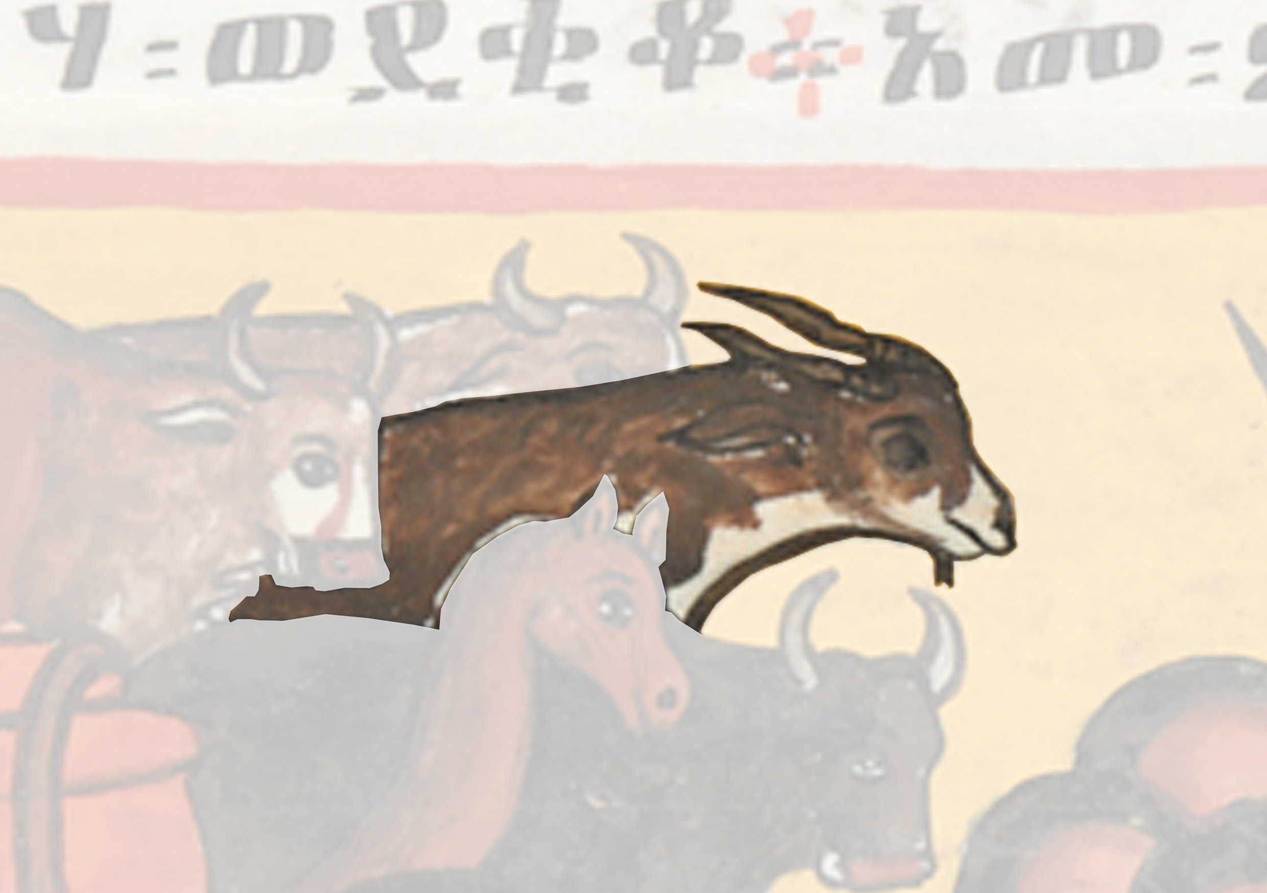 Painting Of A Bull And A Bull