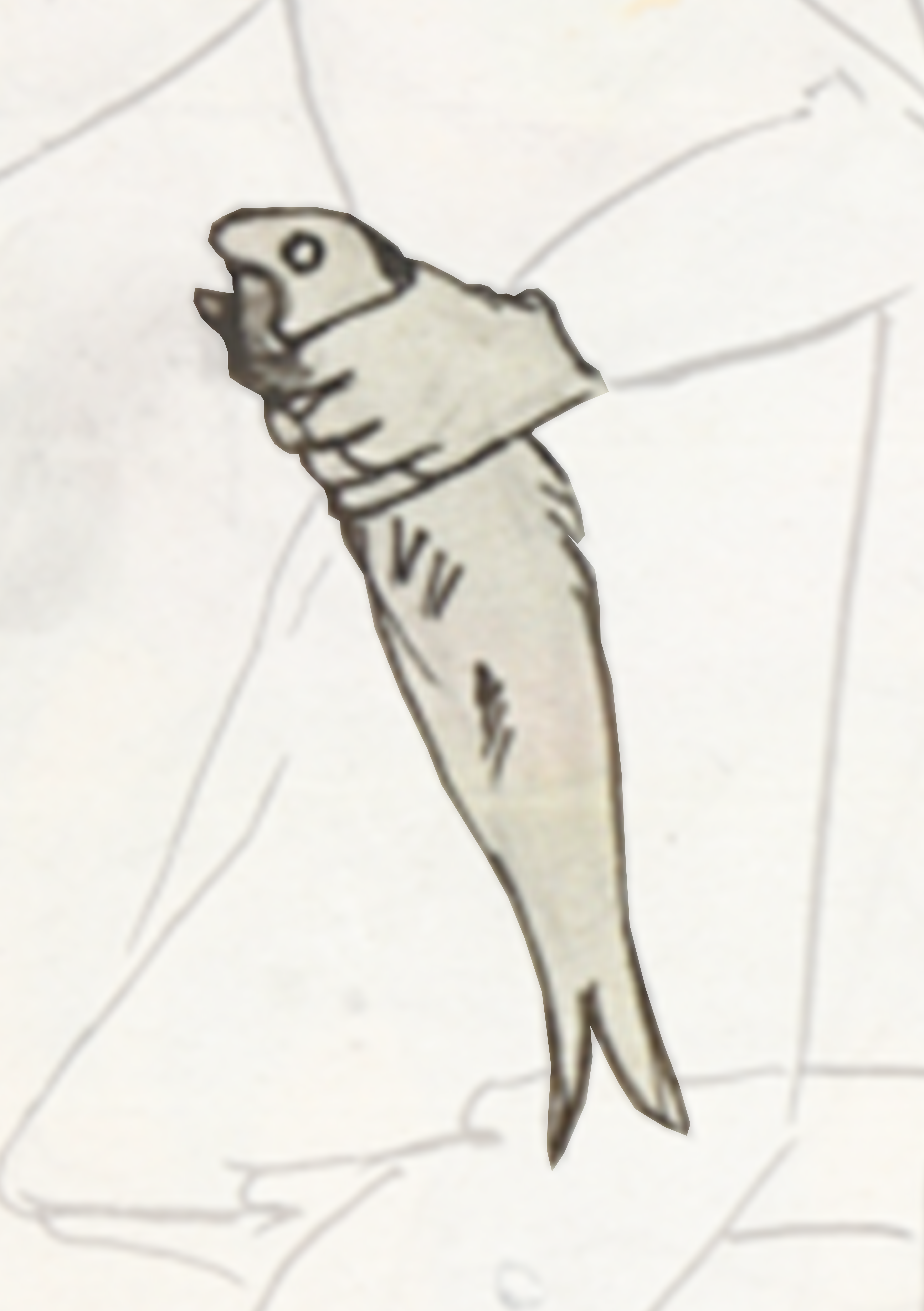Bird Flying Through The Air With Its Wings Spread