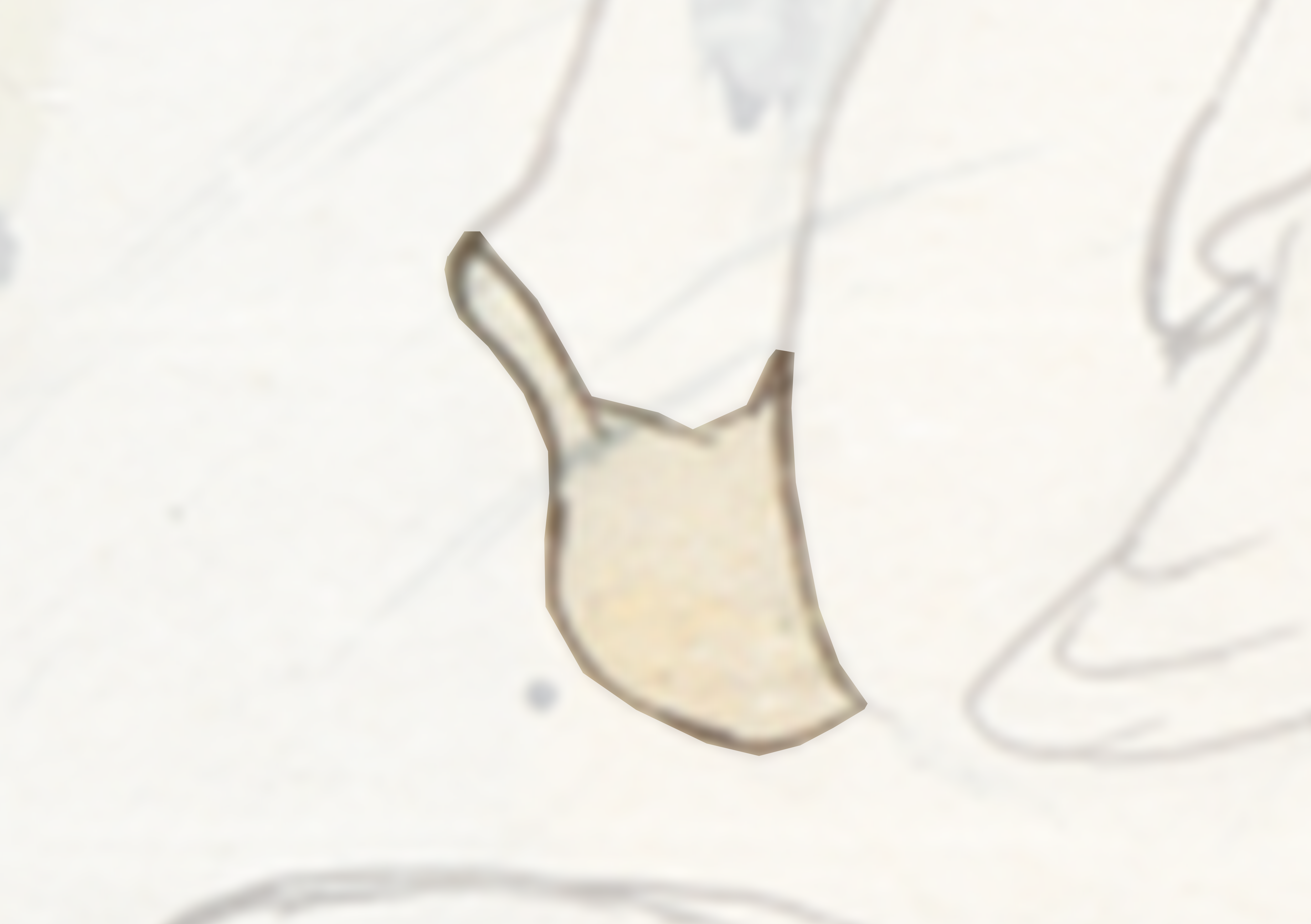 Drawing Of A Bird On A White Surface