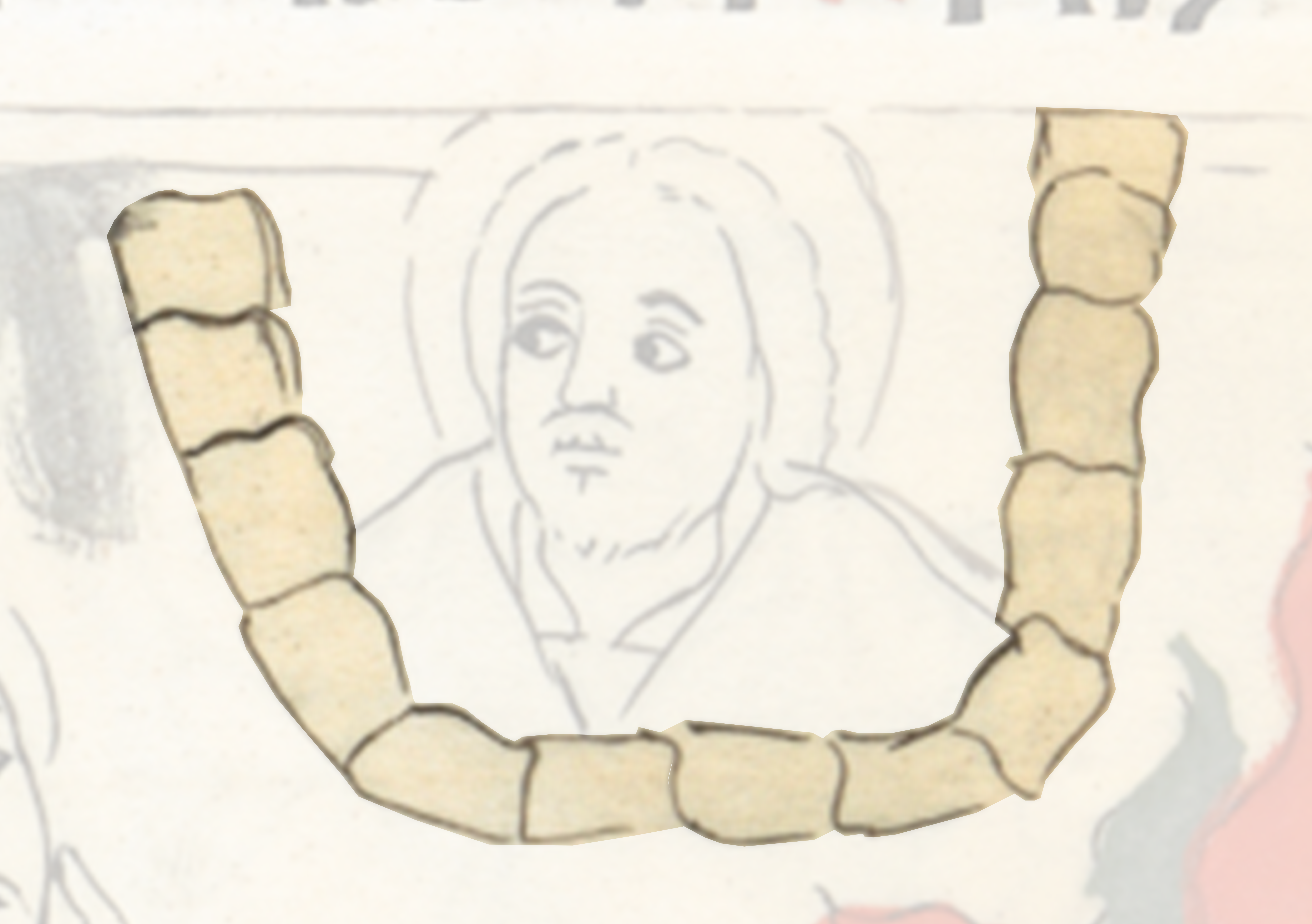 Drawing Of A Man With A Beard