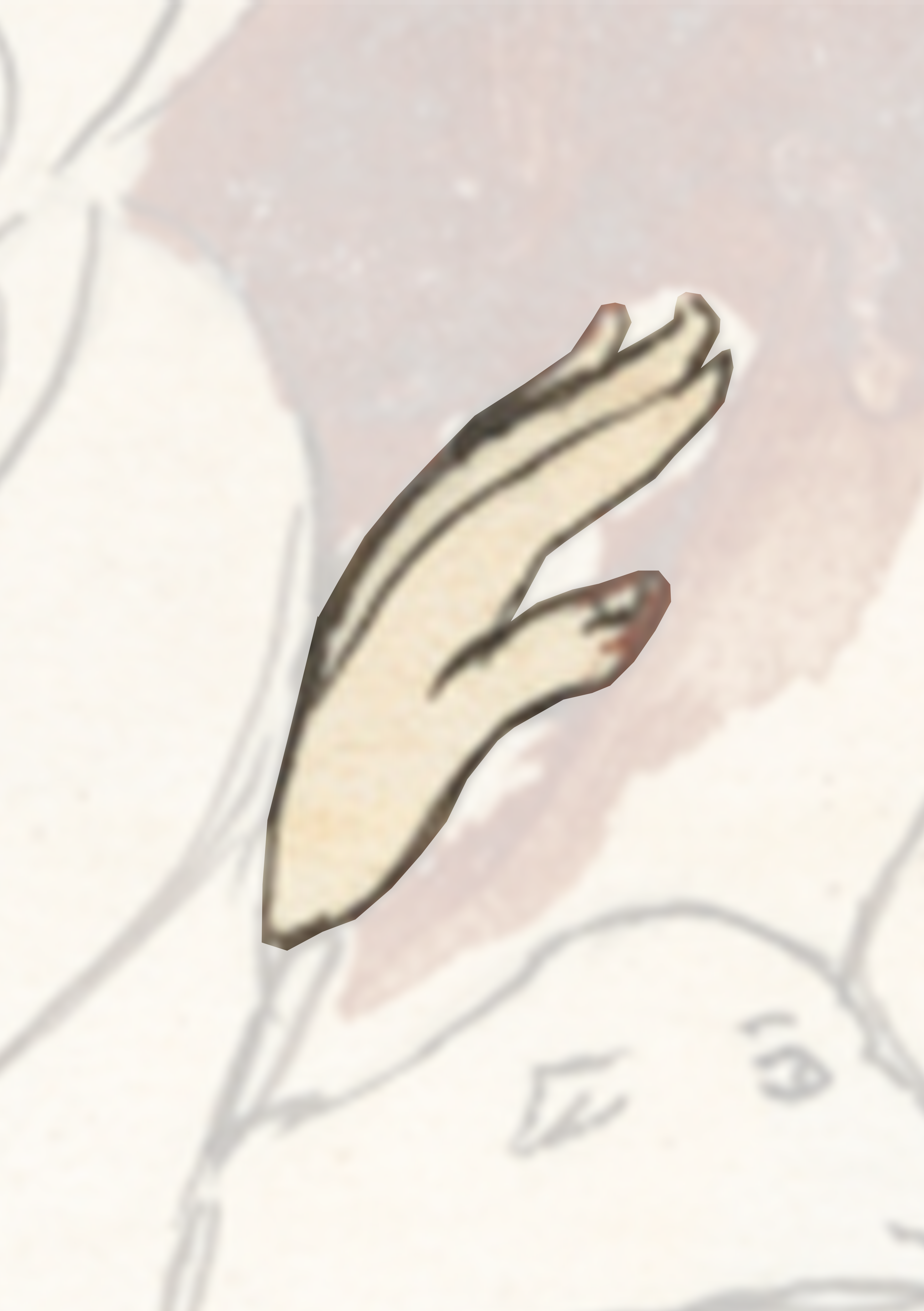 Drawing Of A Hand With A Finger On It