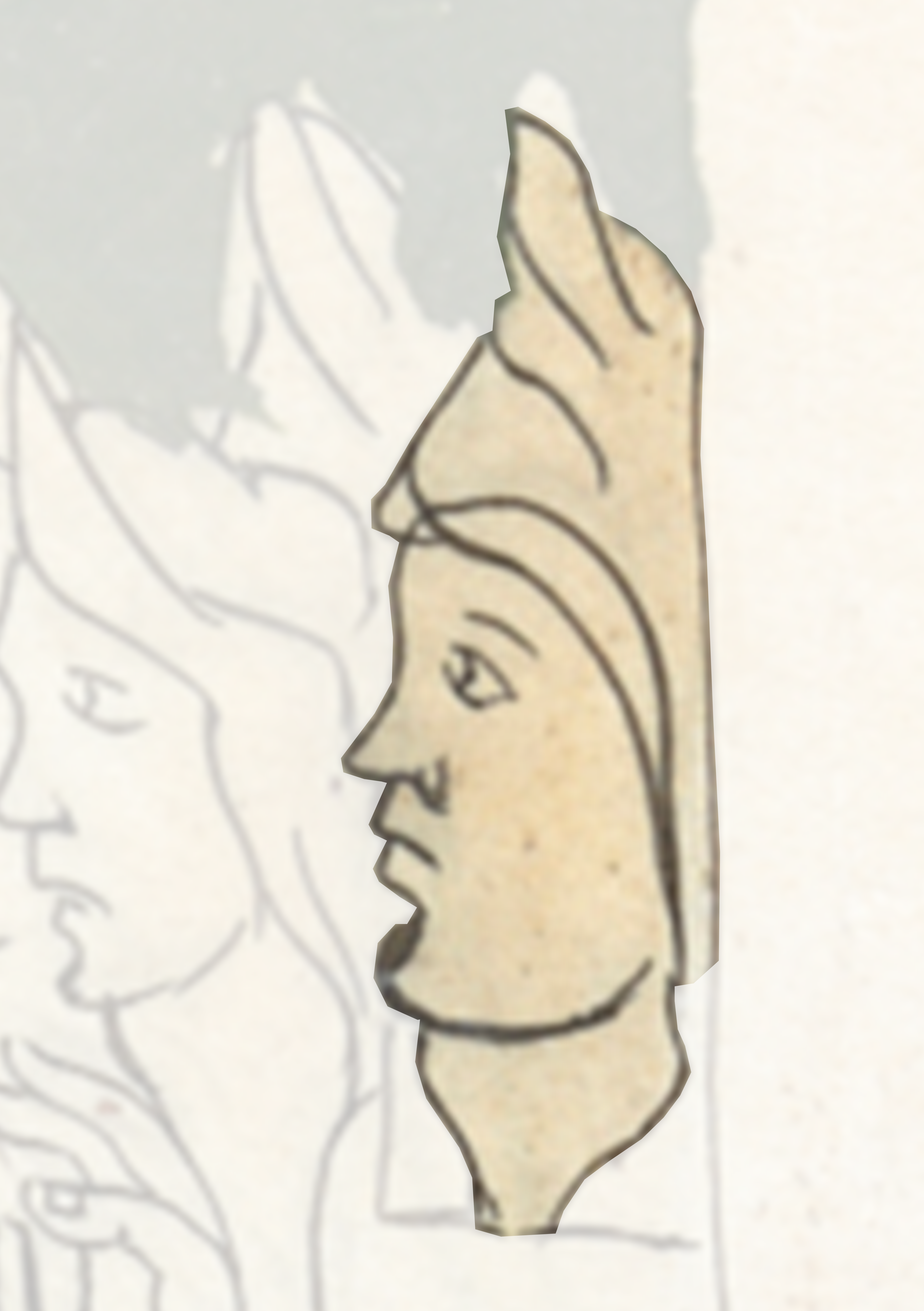 Drawing Of A Woman S Face With A Long Hair