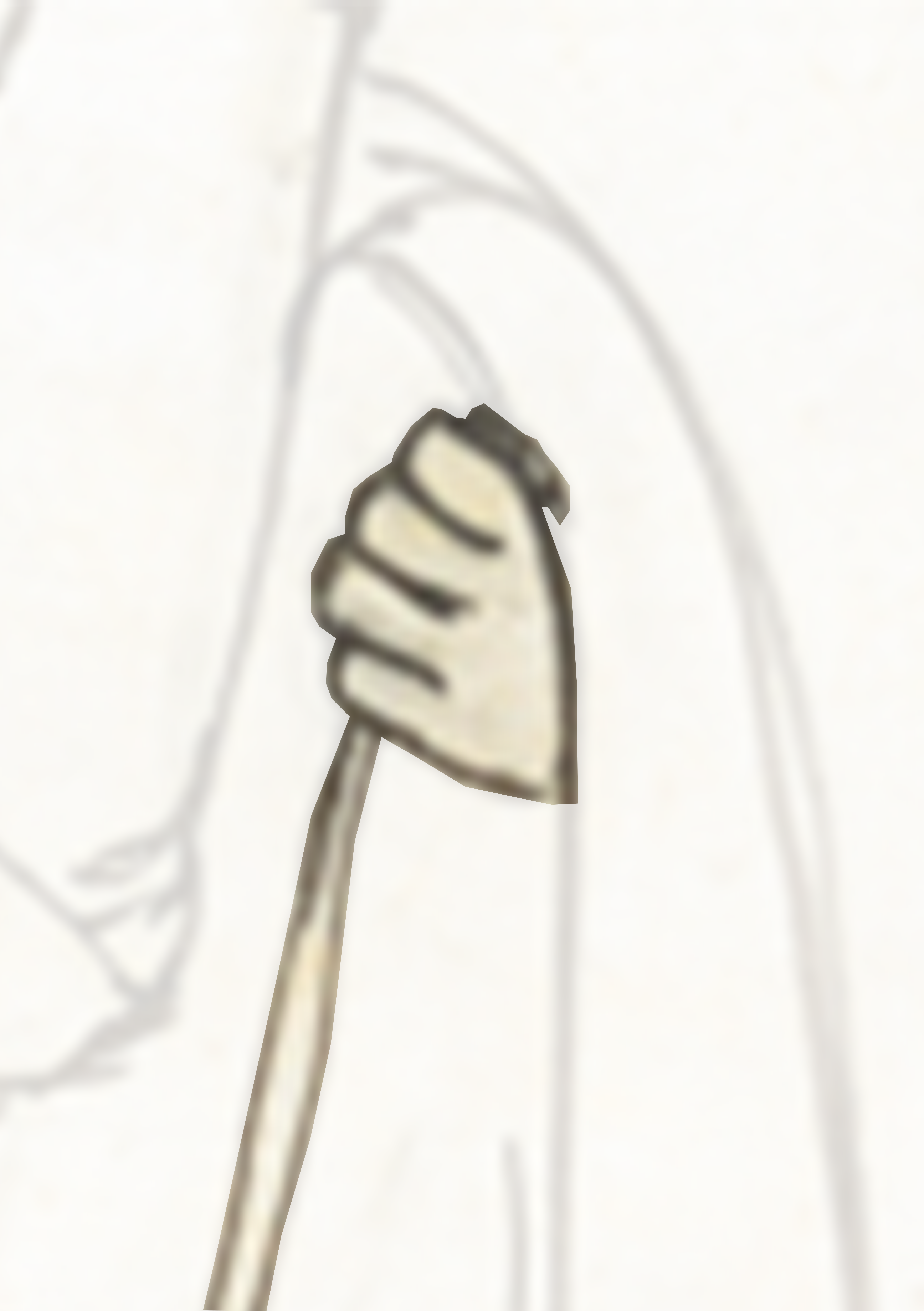 Drawing Of A Mushroom On A White Background