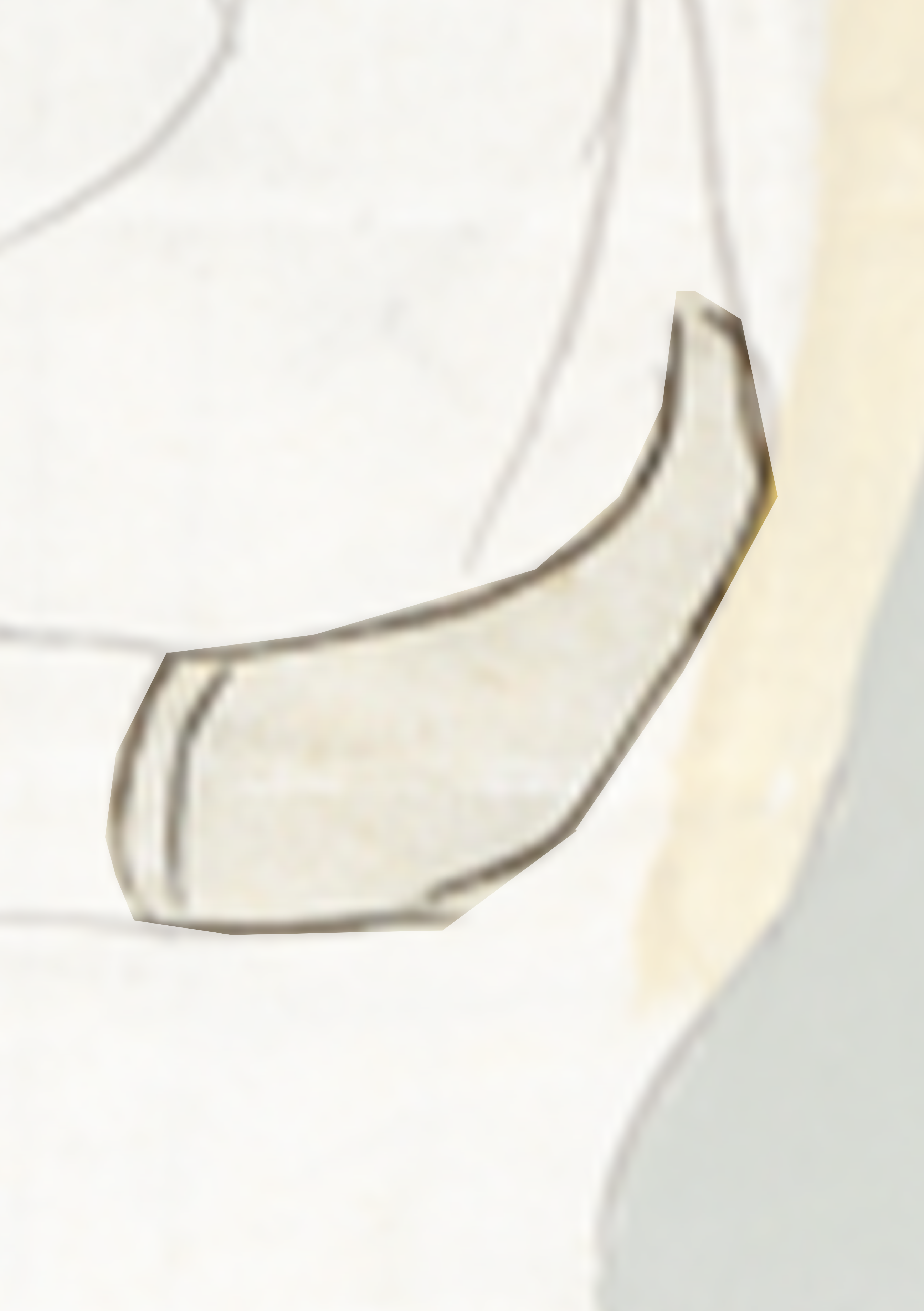 Drawing Of A Man With A Beard