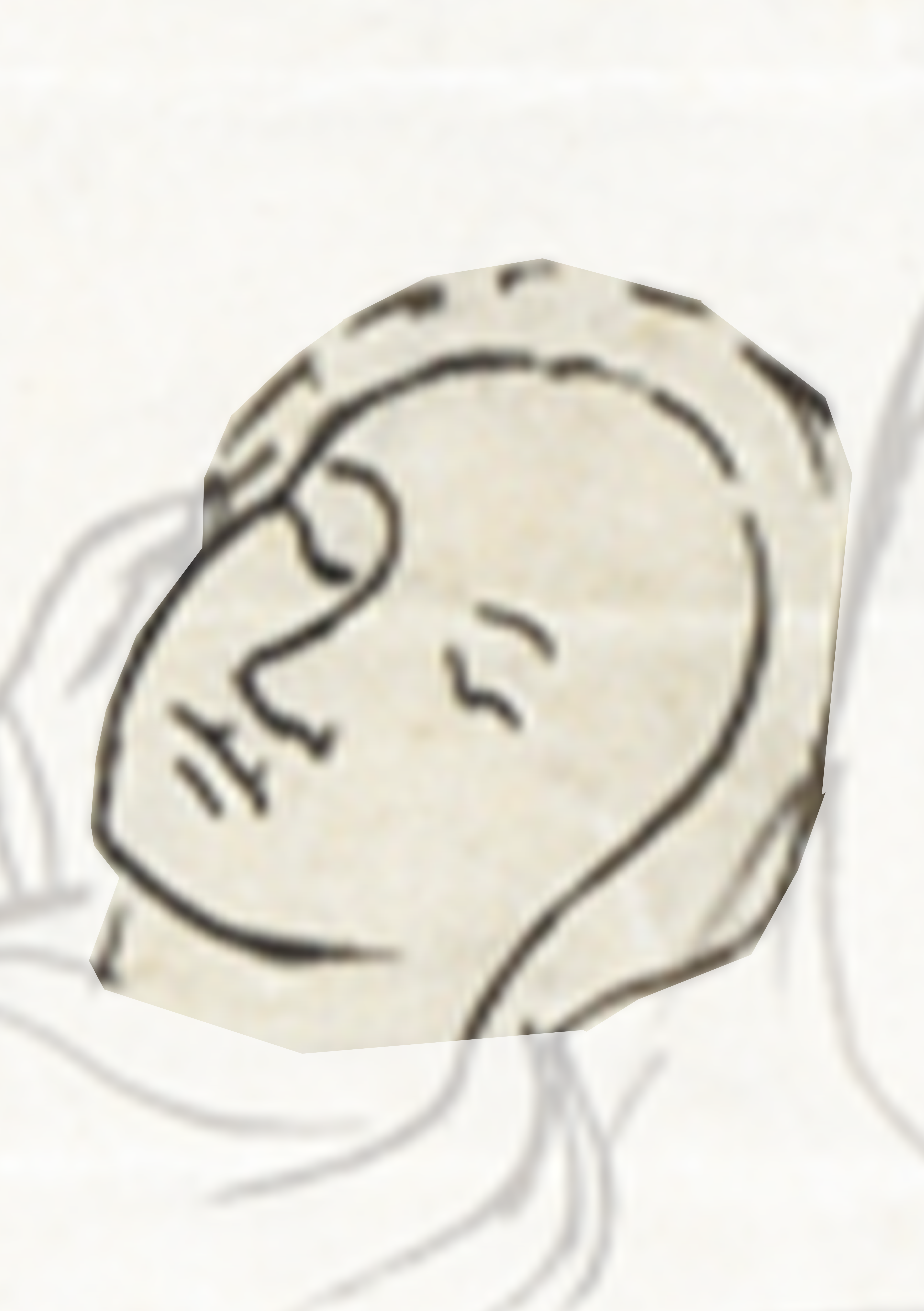 Drawing Of A Man S Face With A Black Outline