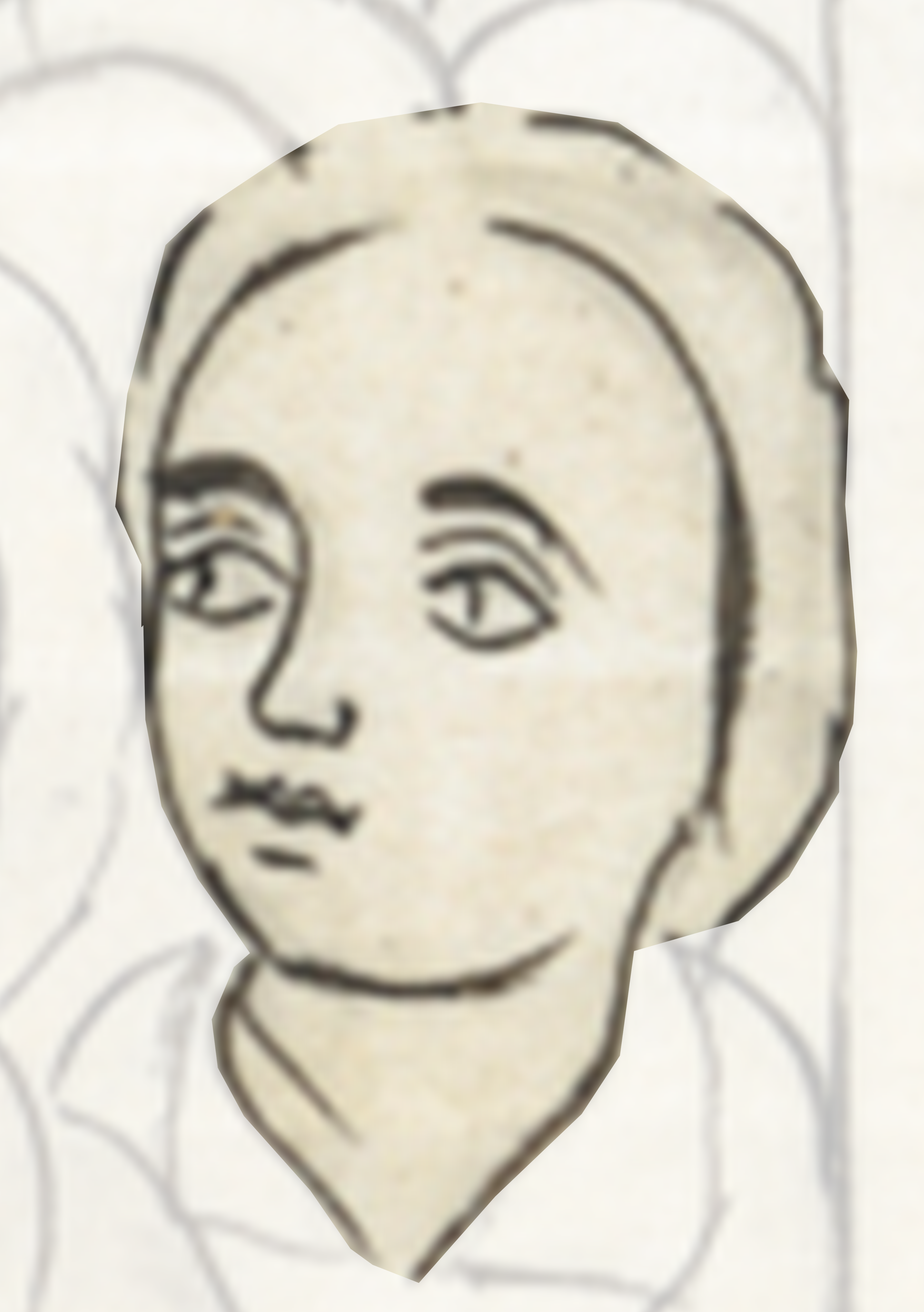 Drawing Of A Woman S Face